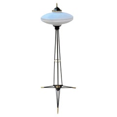 Vintage Murano Disc Floor Lamp