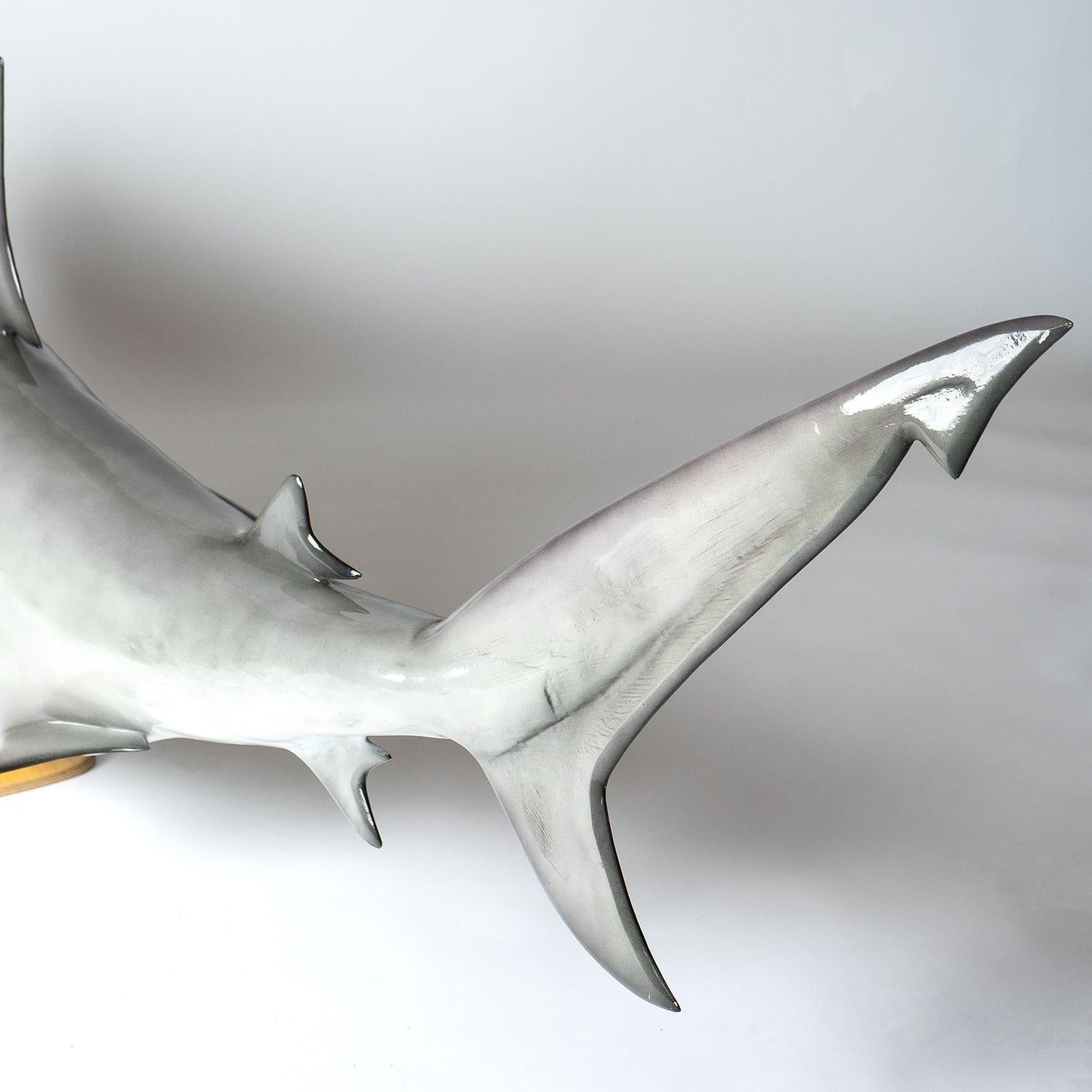 Vintage Museum-Quality Life-Size Model of a Bull Shark 7