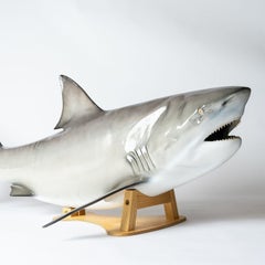 Vintage Museum-Quality Life-Size Model of a Bull Shark