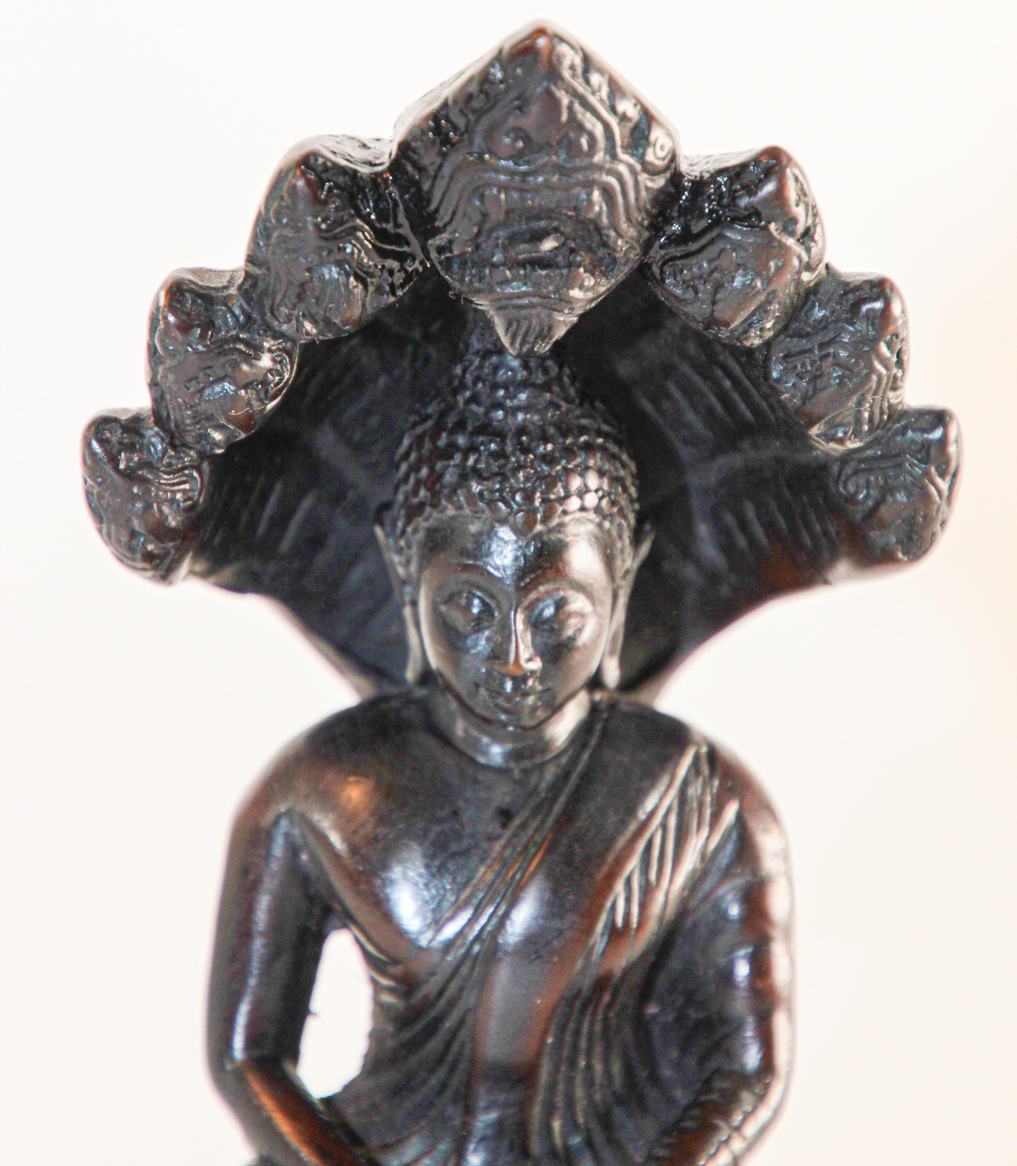 Naga Meditative Buddha-Statue aus Naga  (Thailändisch) im Angebot