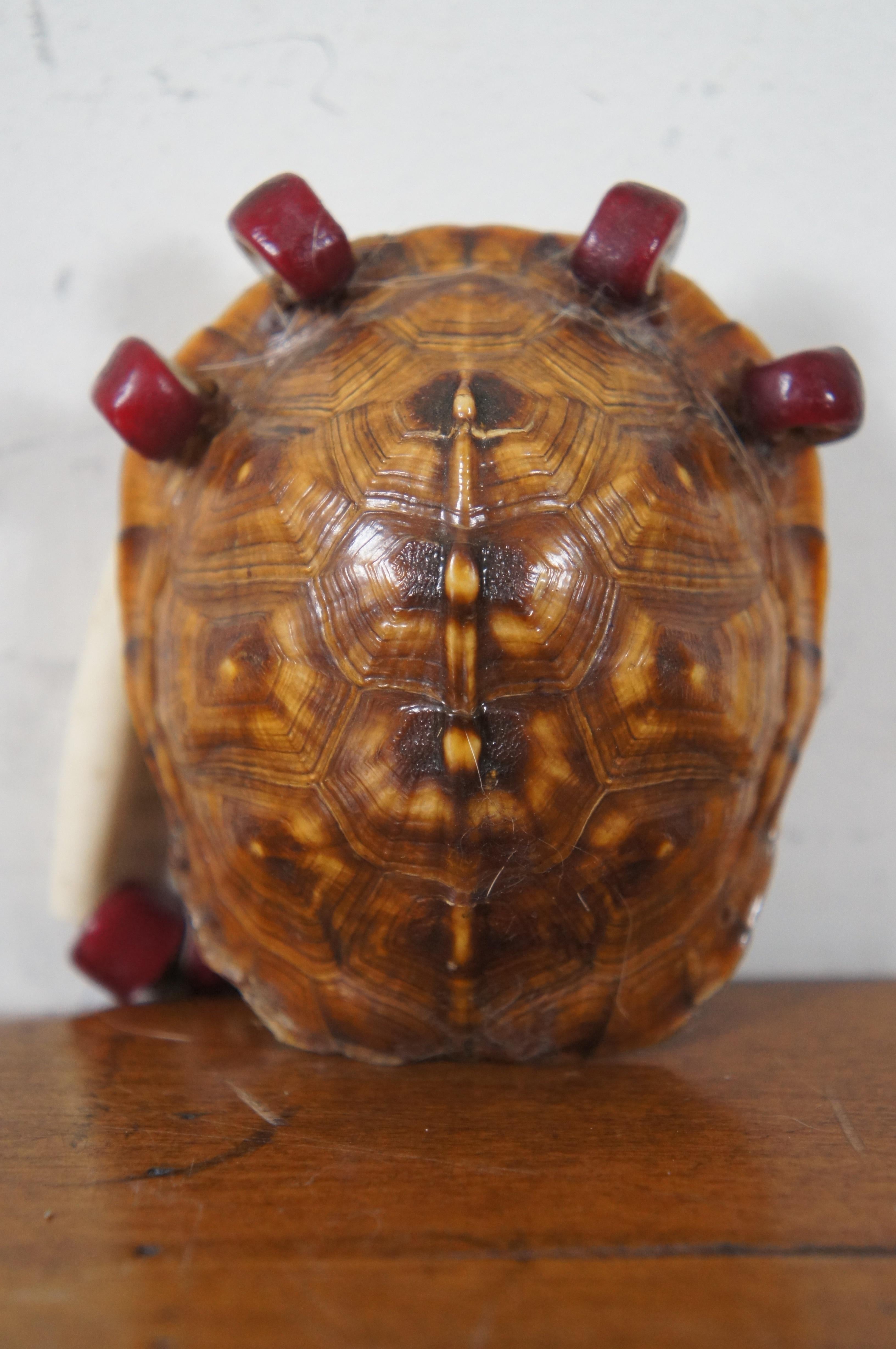 20th Century Vintage Native American Dance Regalia Beaded Turtle Shell Rattle Topper 6