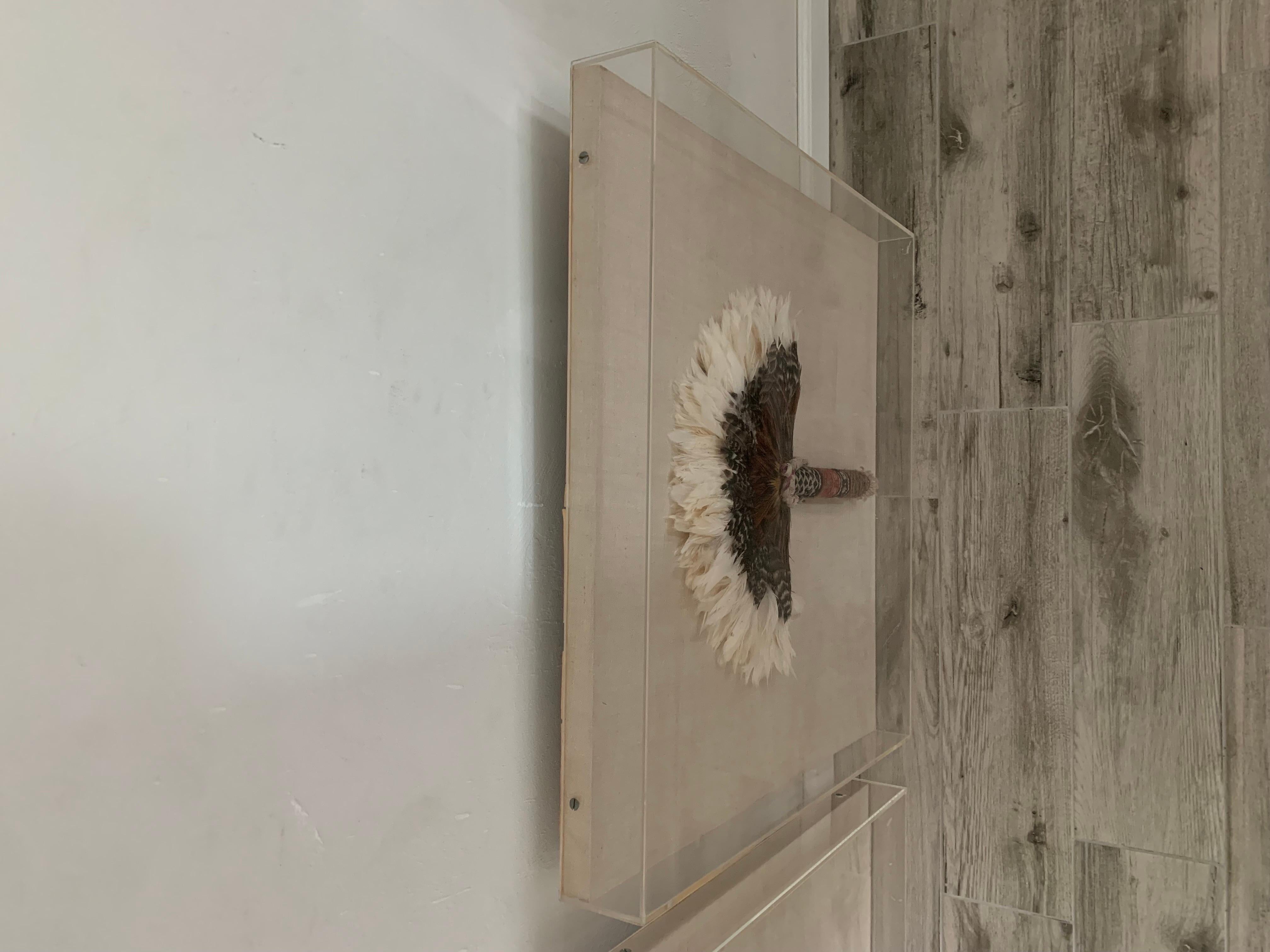 Vintage Native American Feather and Woven Fans Mounted in Lucite, a Pair 3