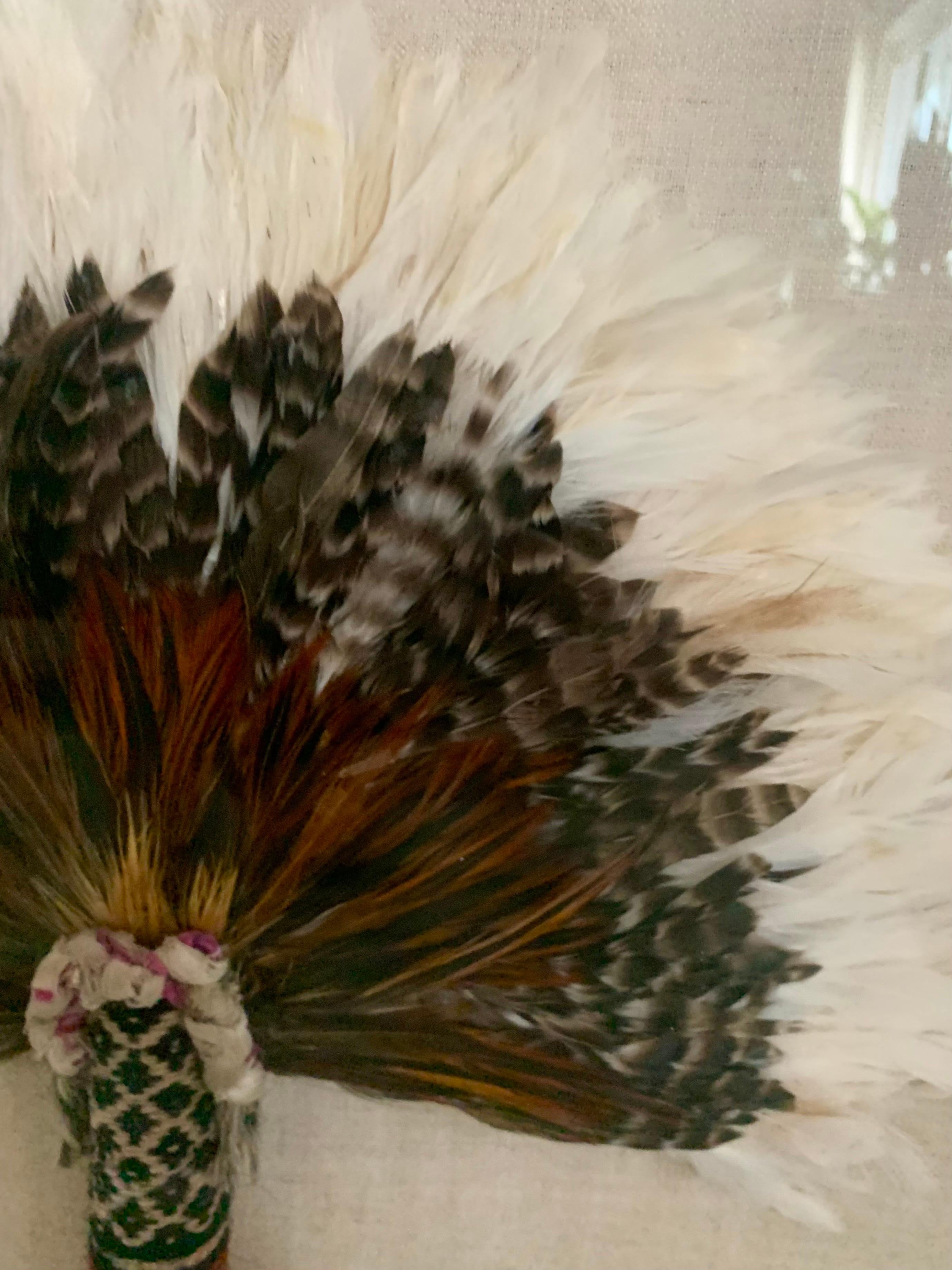 Vintage Native American Feather and Woven Fans Mounted in Lucite, a Pair 1