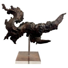 Scultura vintage in legno di radica naturale su base in lucite, stile Coastal Modern