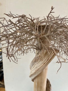 Vintage Natural Driftwood Bonsai Tree Lamp Sculpture