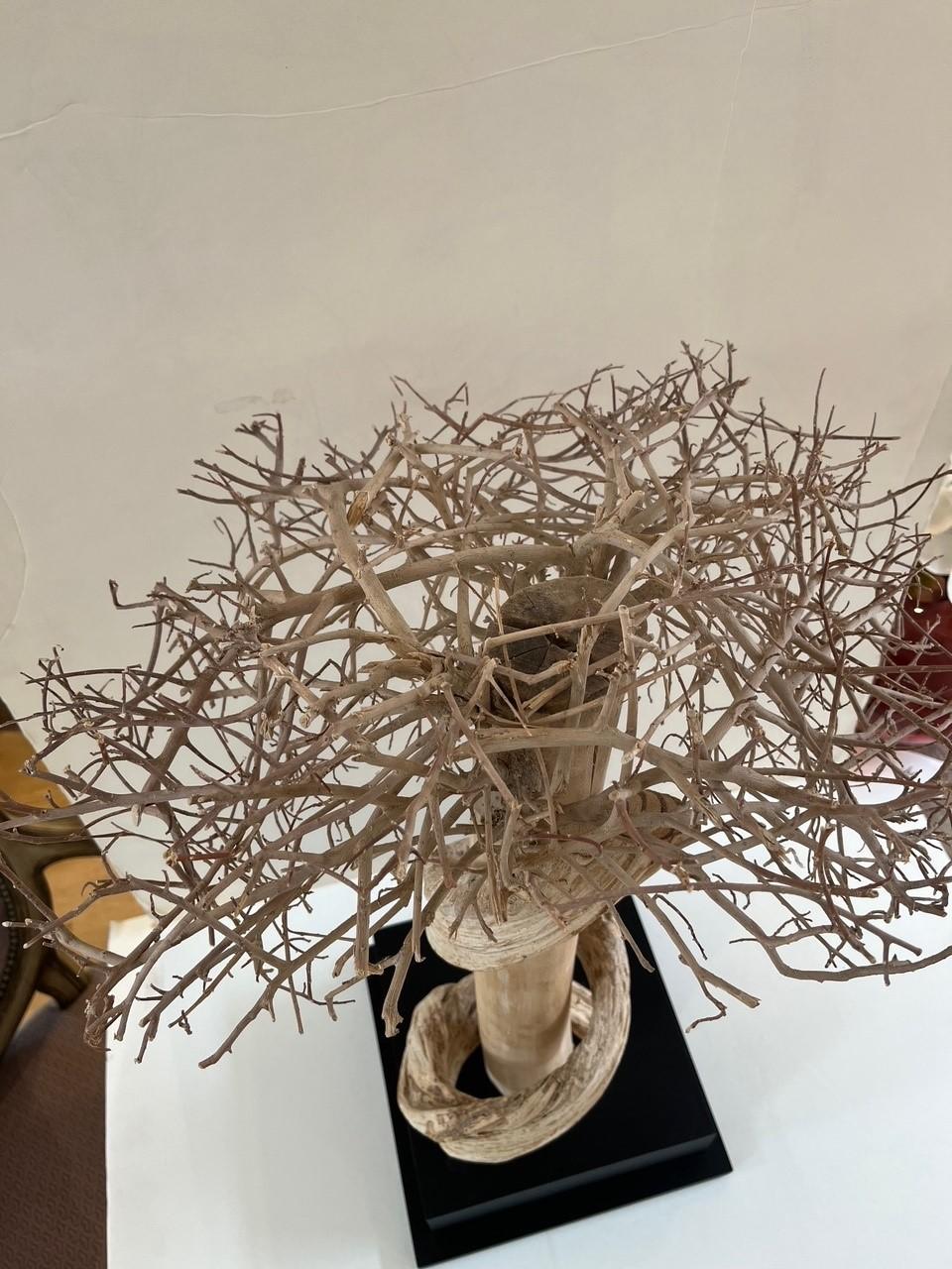 Vintage Natural Driftwood Bonsai Tree Lamp Sculpture In Good Condition For Sale In Los Angeles, CA
