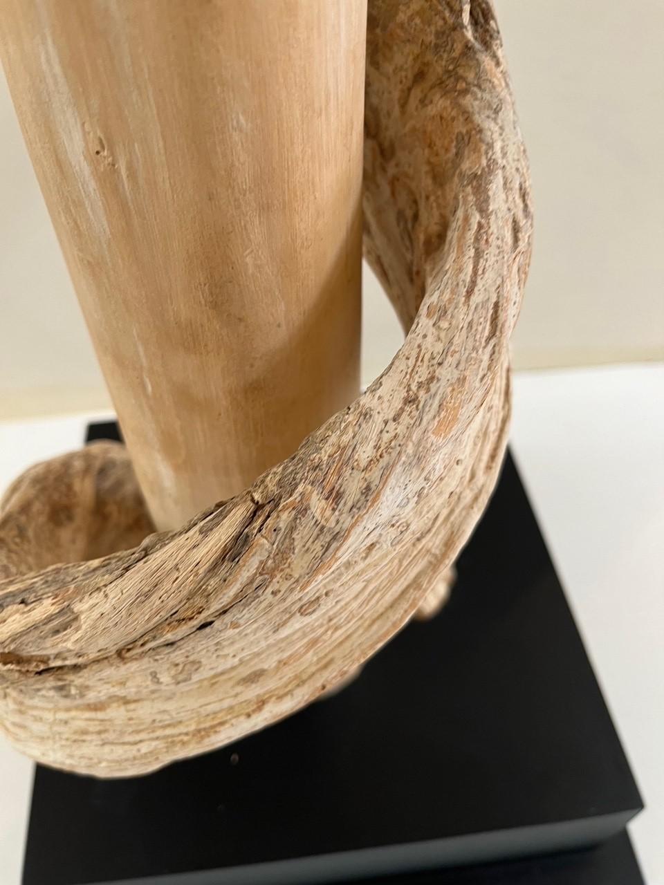 Vintage Natural Driftwood Bonsai Tree Lamp Sculpture For Sale 1
