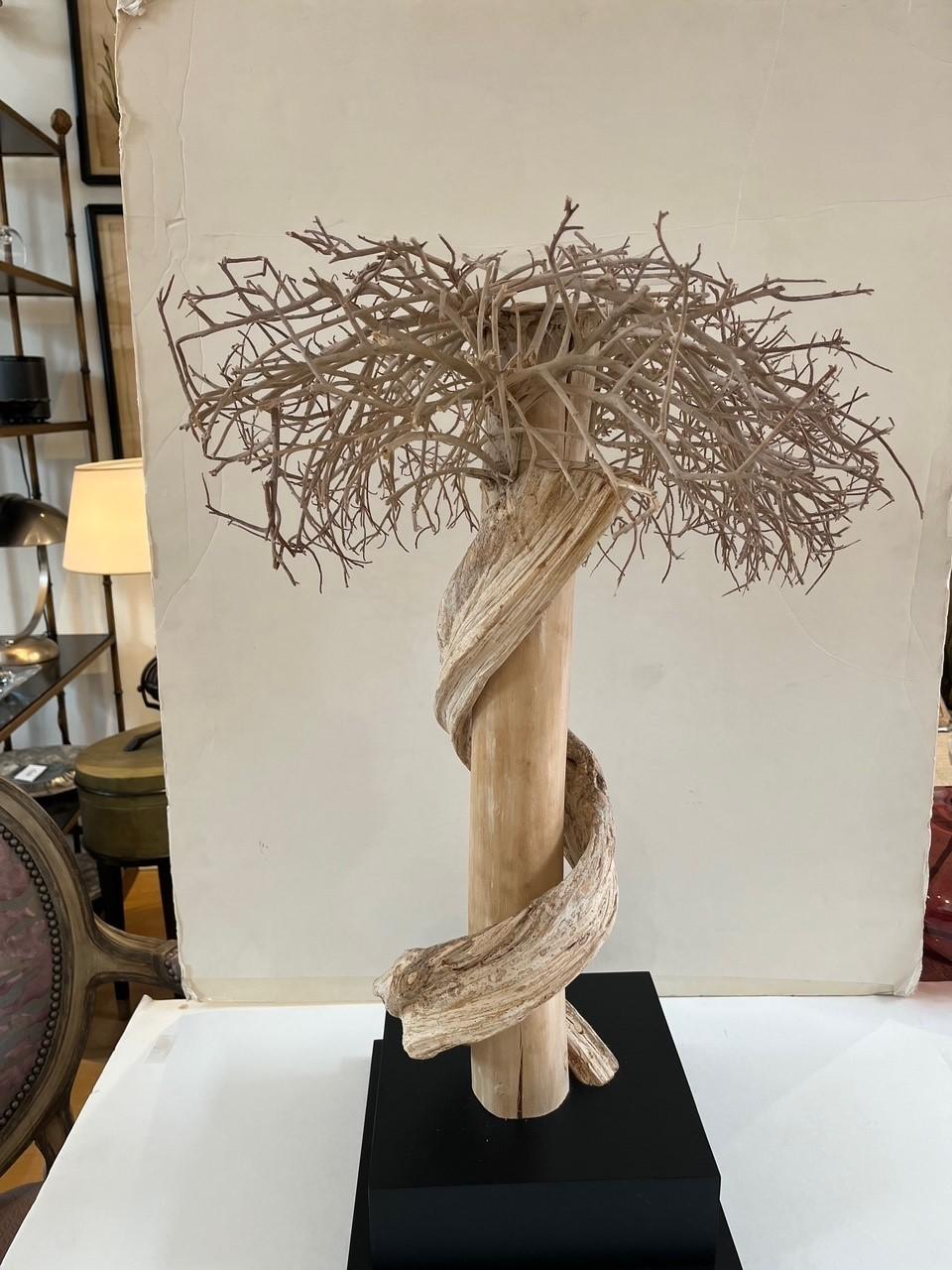 Bonsai-Baum-Lampe-Skulptur aus natürlichem Treibholz, Vintage im Angebot 2