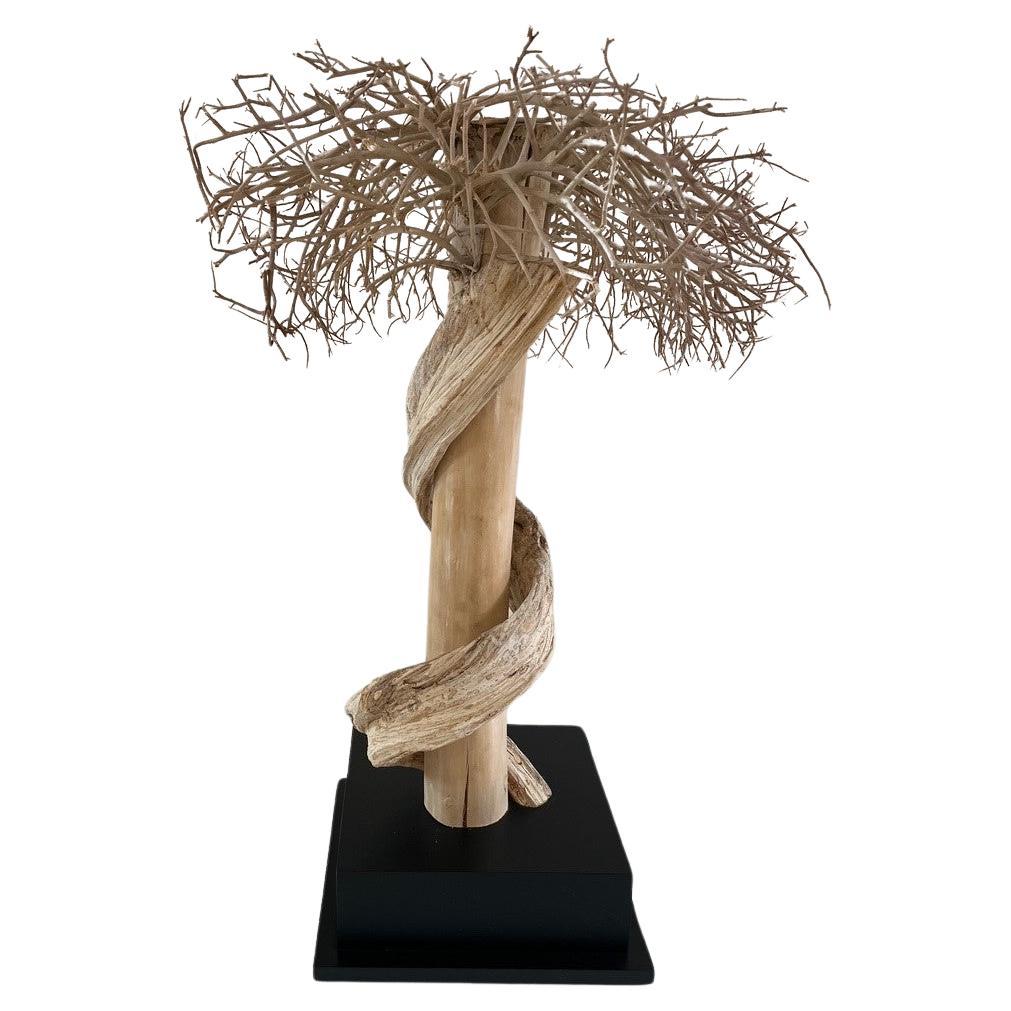 Vintage Natural Driftwood Bonsai Tree Lamp Sculpture