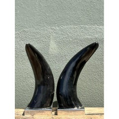 Vintage Natural Horns on Chrome Plinths - Set von 2