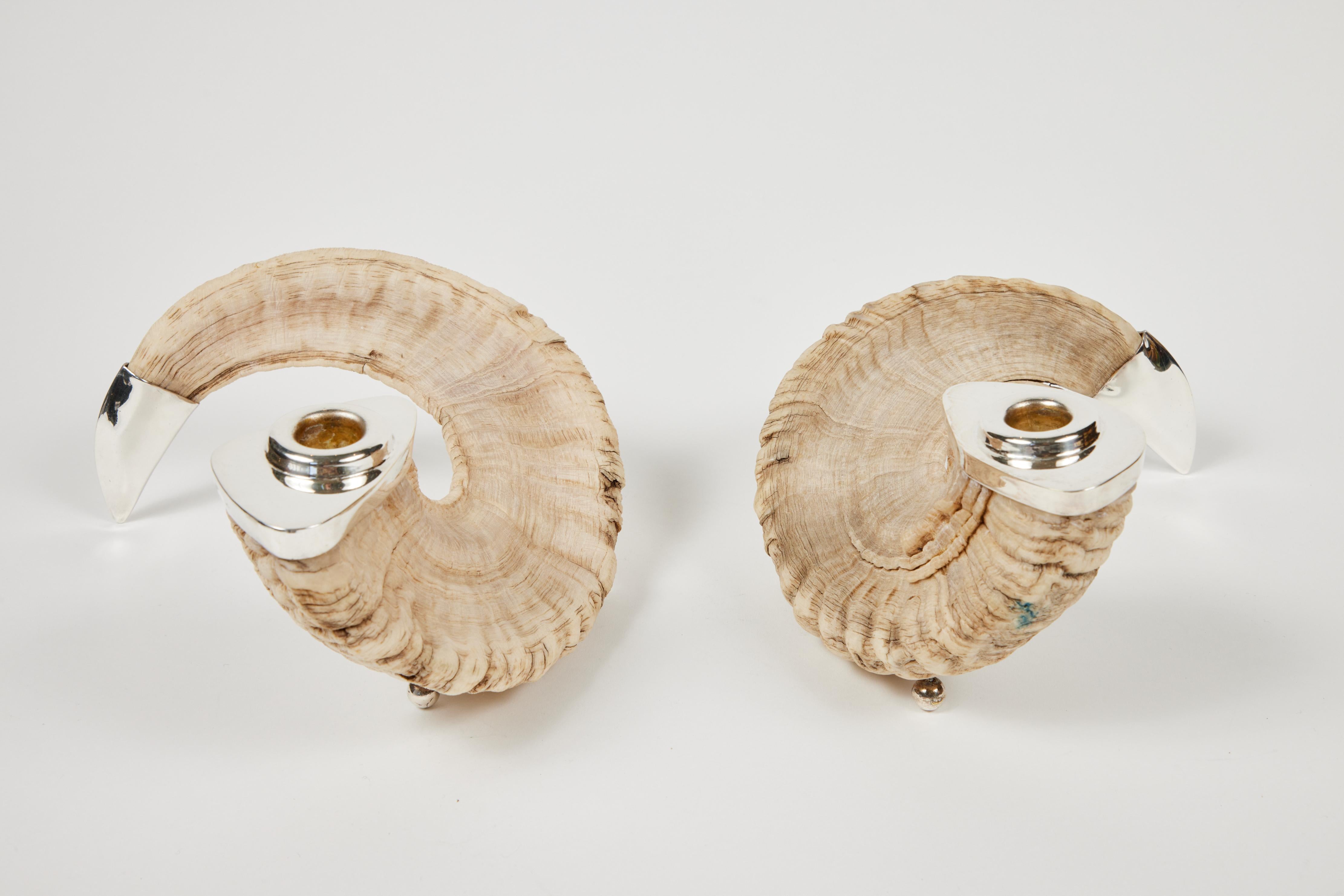 20th Century Vintage Natural Ram Horn + Sterling Candle Holders Pair