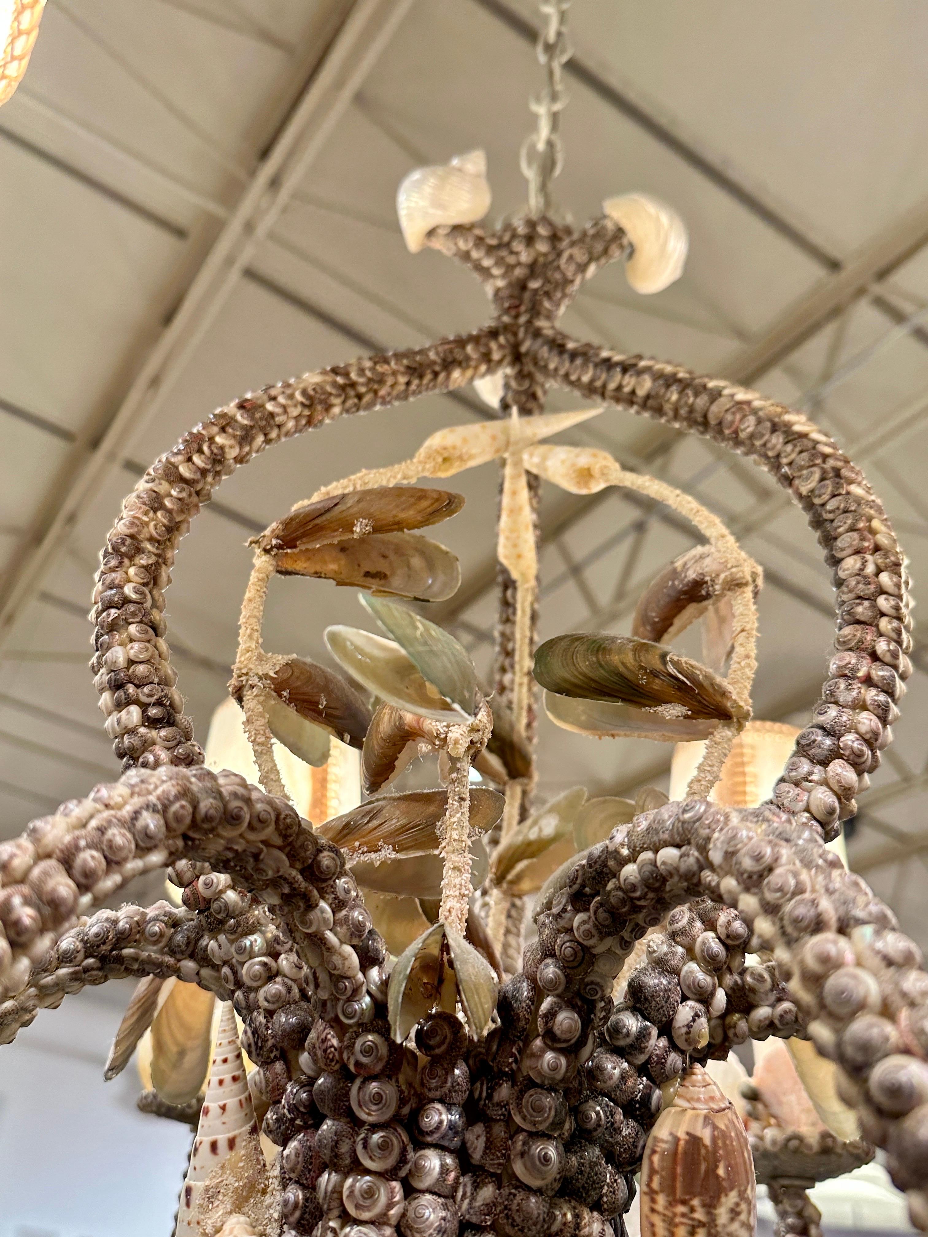 Vintage Natural Seashells Encrusted Chandelier 1