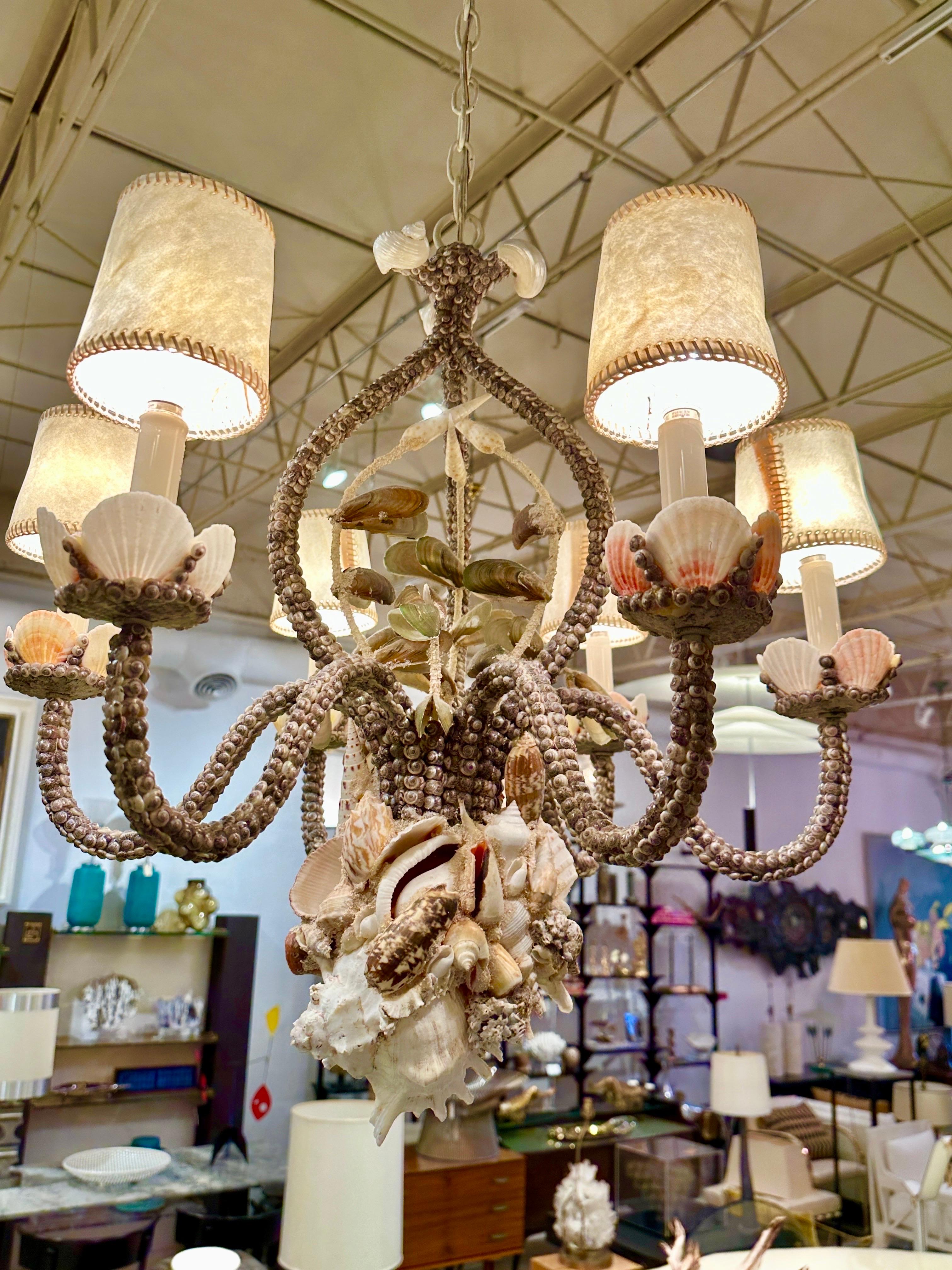 Vintage Natural Seashells Encrusted Chandelier 5