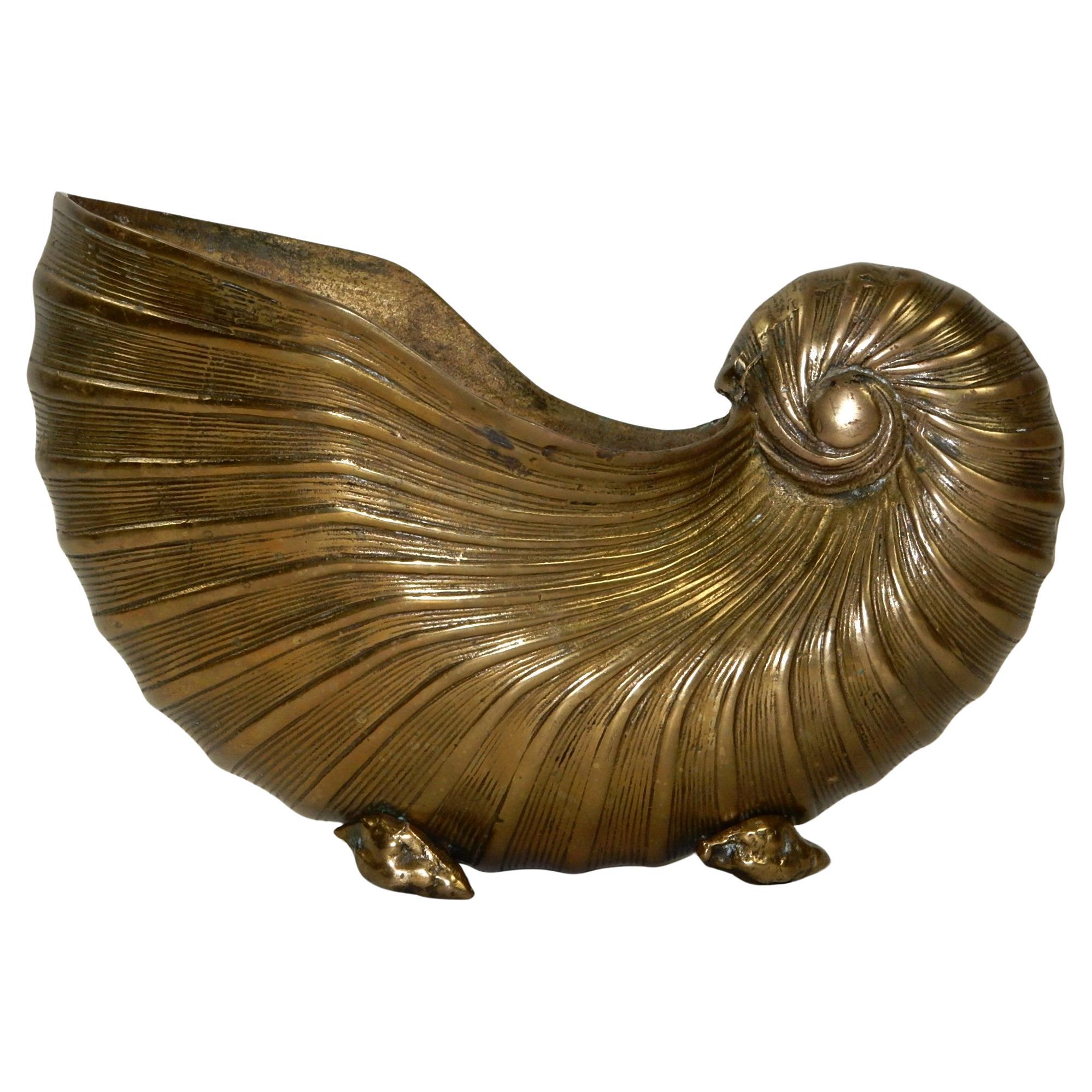Large vintage brass conch shell.
The perfect catch-all bowl or as a table decoration.
Orchid vase? 12