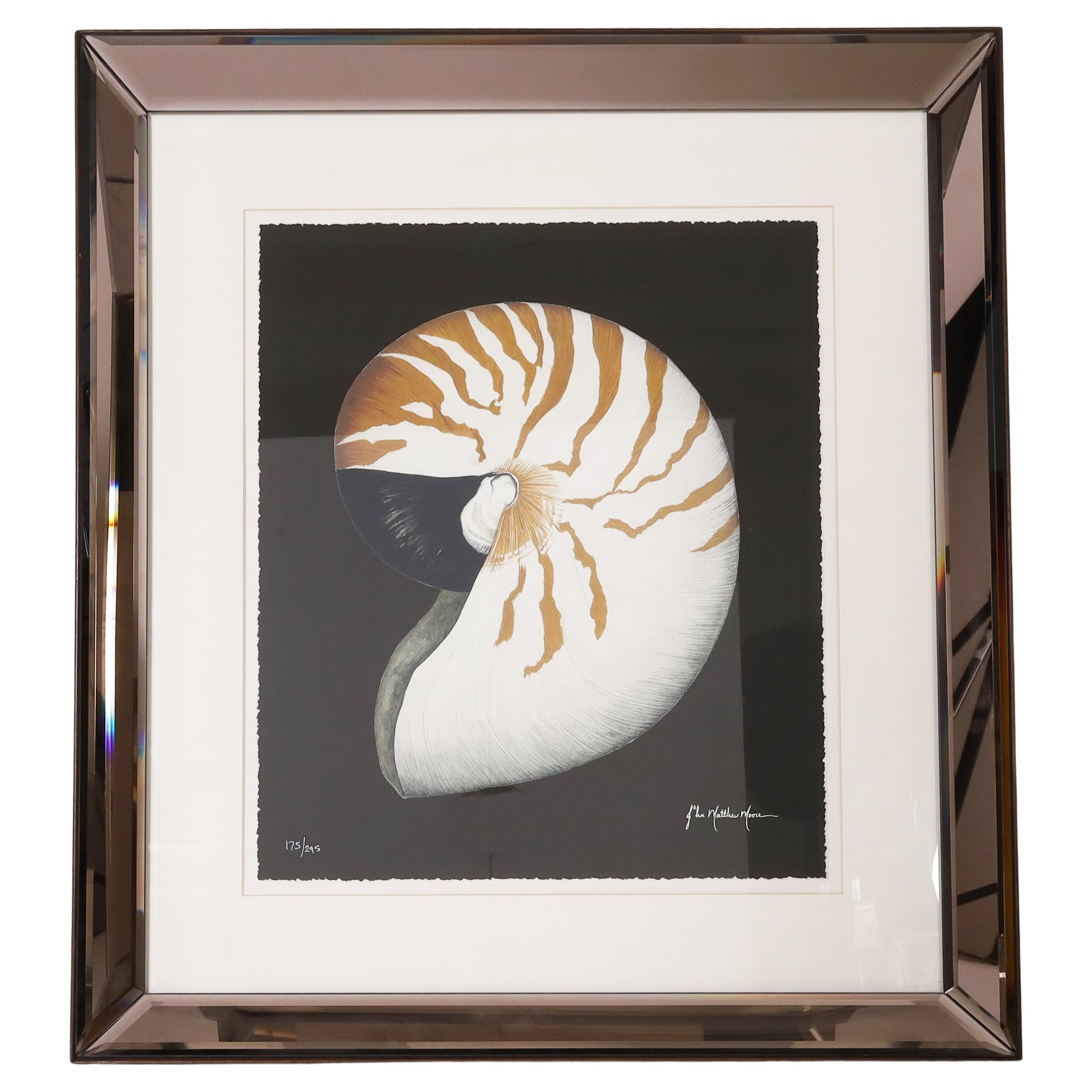 Nautilus- oder Muschelstein-Lithographie im Vintage-Stil in verspiegeltem Rahmen im Angebot