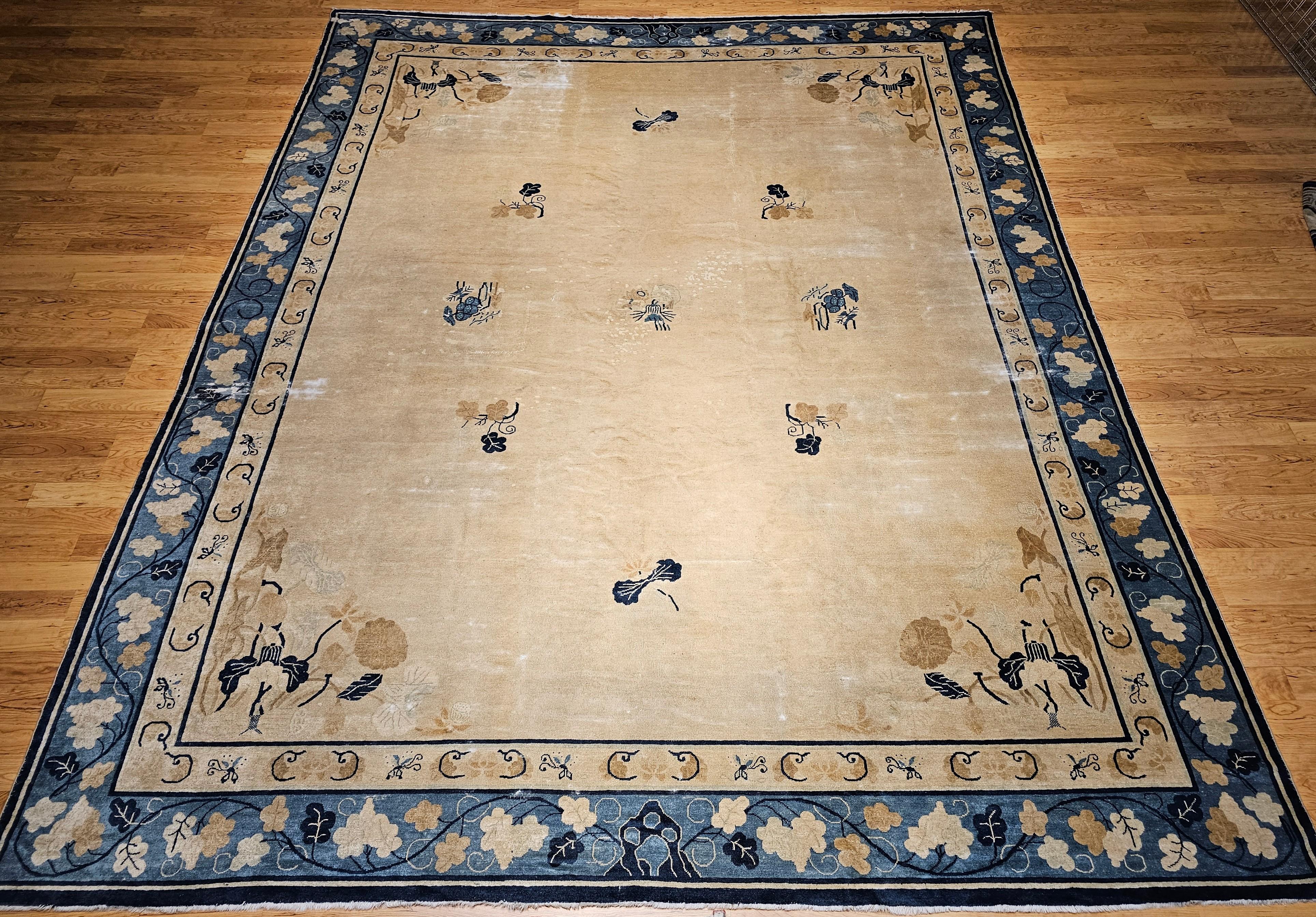  19th century Oversized Chinese Peking in a “near square” format with an allover open field pattern in wheat, Tiffany blue, sky-blue, and navy. The rug has a very unique and beautiful wheat field color with Tiffany blue and sky-blue Designs. The