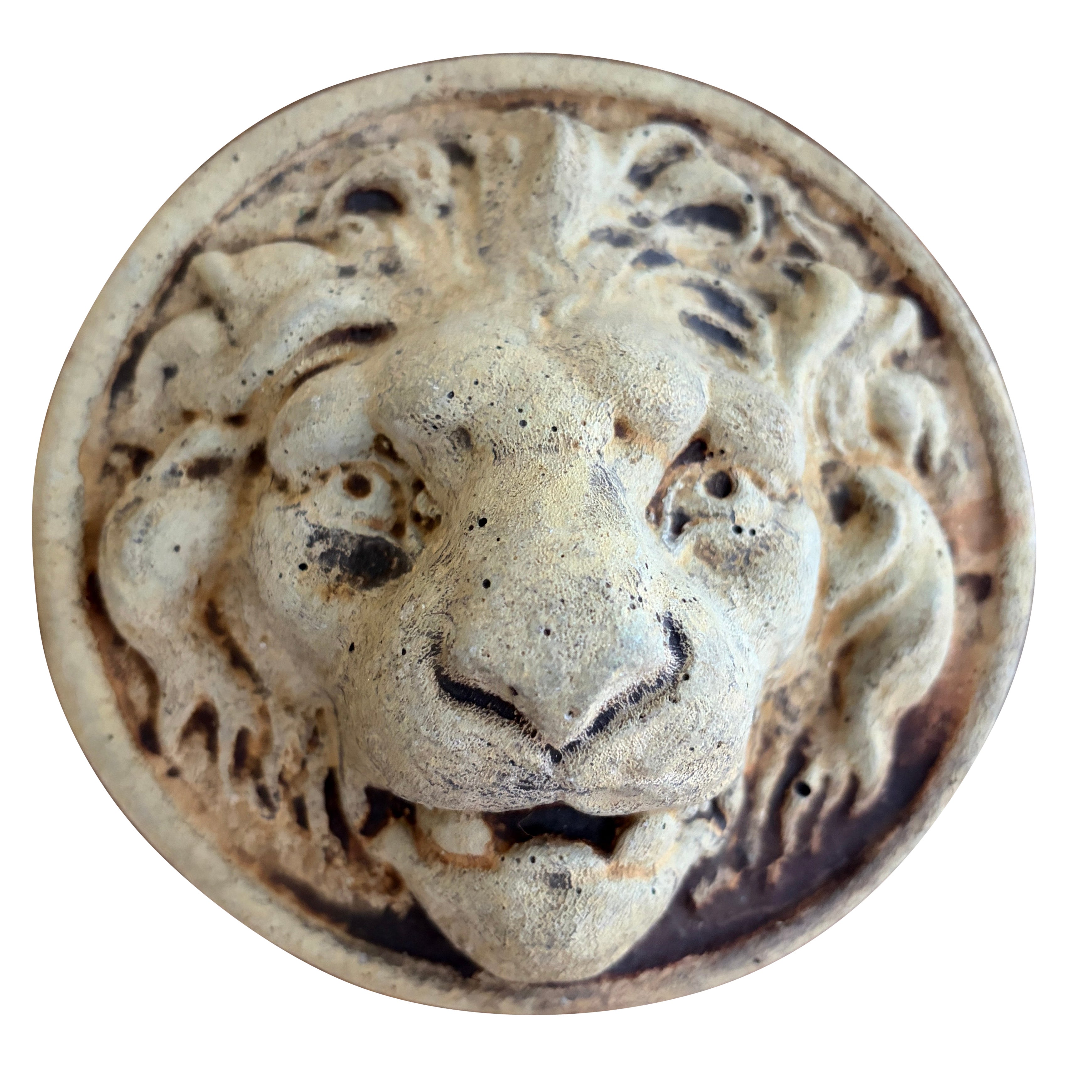 Vintage Neoclassical Grand Tour Cast Plaster Roman Lion Head Plaque
