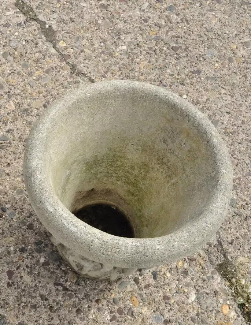 Vintage Nina Studio Maceta de cemento para jardín con hojas de espadaña y libélula de cemento Concreto en venta