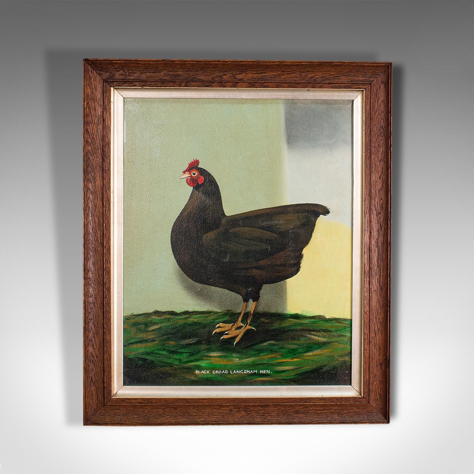 This is a vintage oil on canvas painting. An English, decorative study of a hen, dating to the mid 20th century, circa 1960.

A most charming hen, pleasingly realised and with British countryside appeal
Displays a desirable aged patina
Oil on