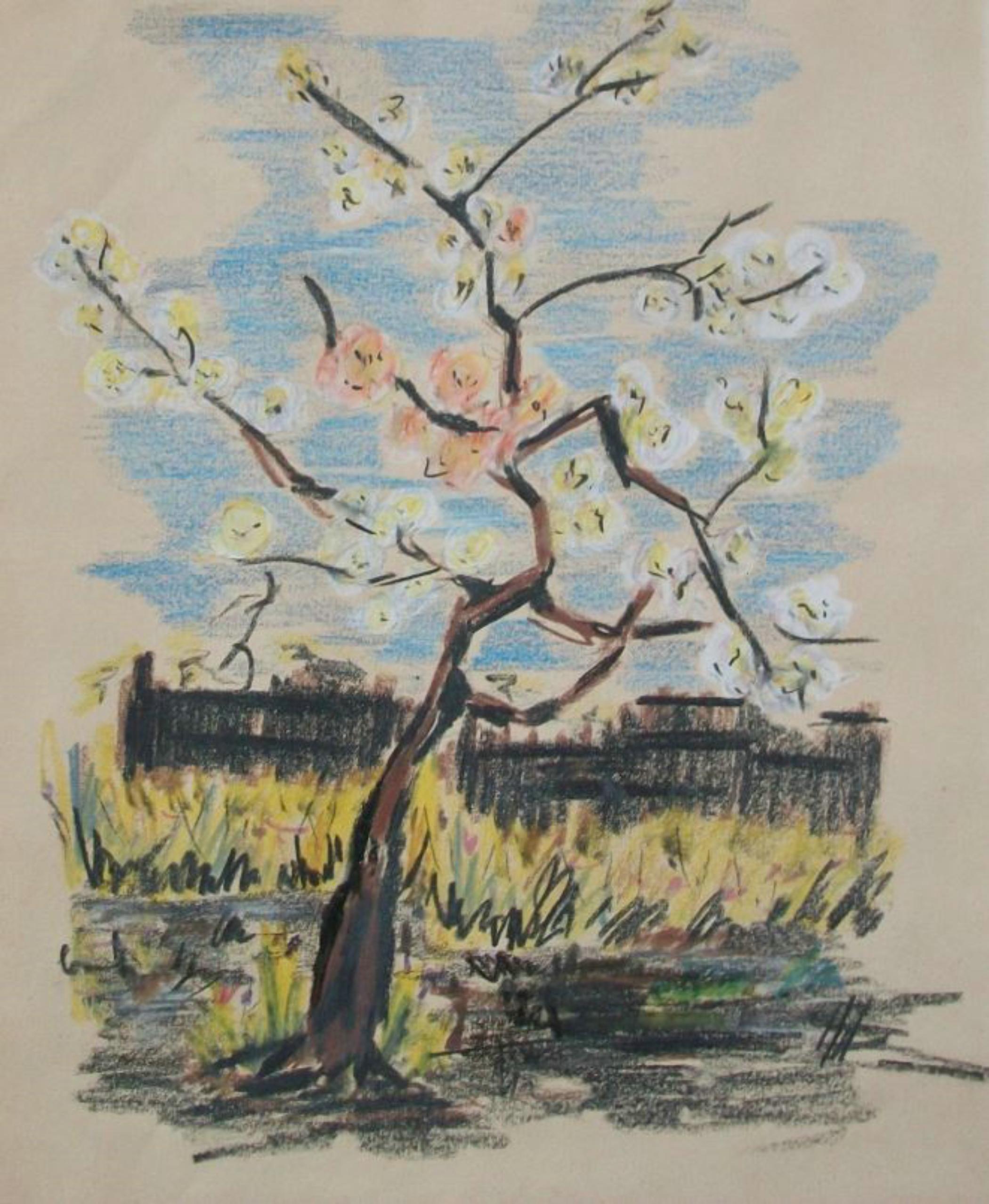Vintage Ölpastellzeichnung auf Papier - 'Blüten' (nach Vincent Van Gogh) - vom Künstler unten rechts paraphiert - Folienetikett in Niederländisch auf der alten Rückwand von einer früheren Rahmung - ungerahmt - Niederlande (Amsterdam) - Ende