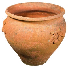 Retro Olive Tree Planter, Italian, Terracotta, Garden, Patio, Jardiniere Pot