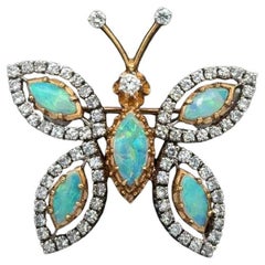 Brooches