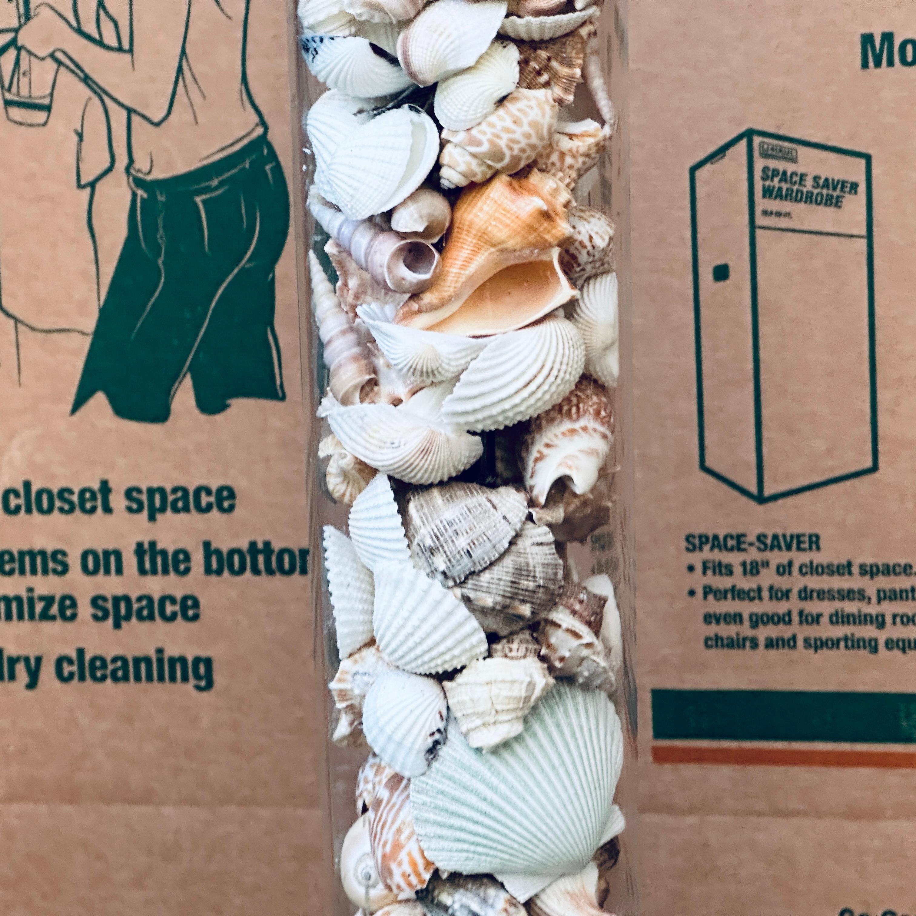 Shell Vintage Organic Modern Coastal Style Seashell Filled Lucite Floor Lamp For Sale