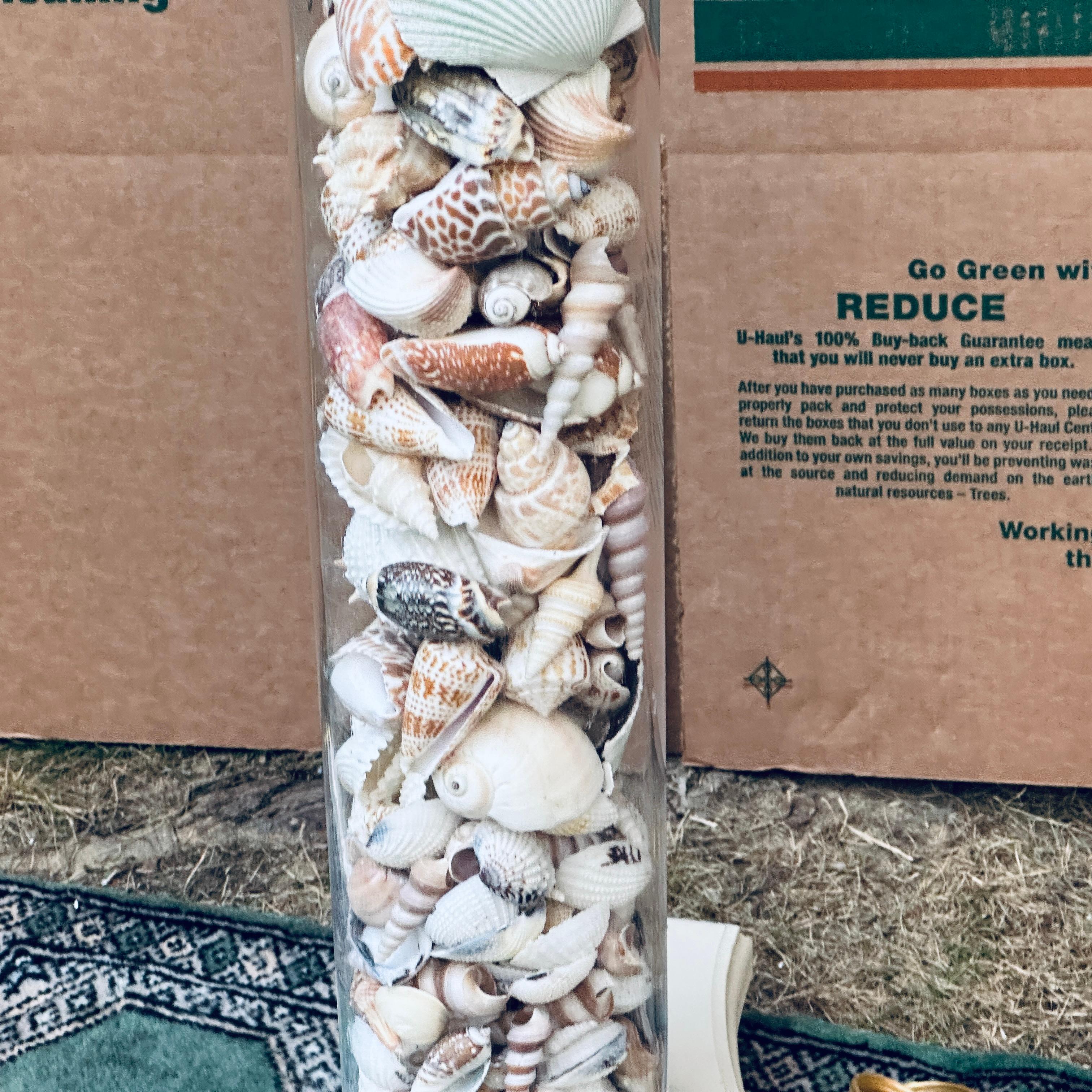 Vintage Organic Modern Coastal Style Seashell Filled Lucite Floor Lamp For Sale 1
