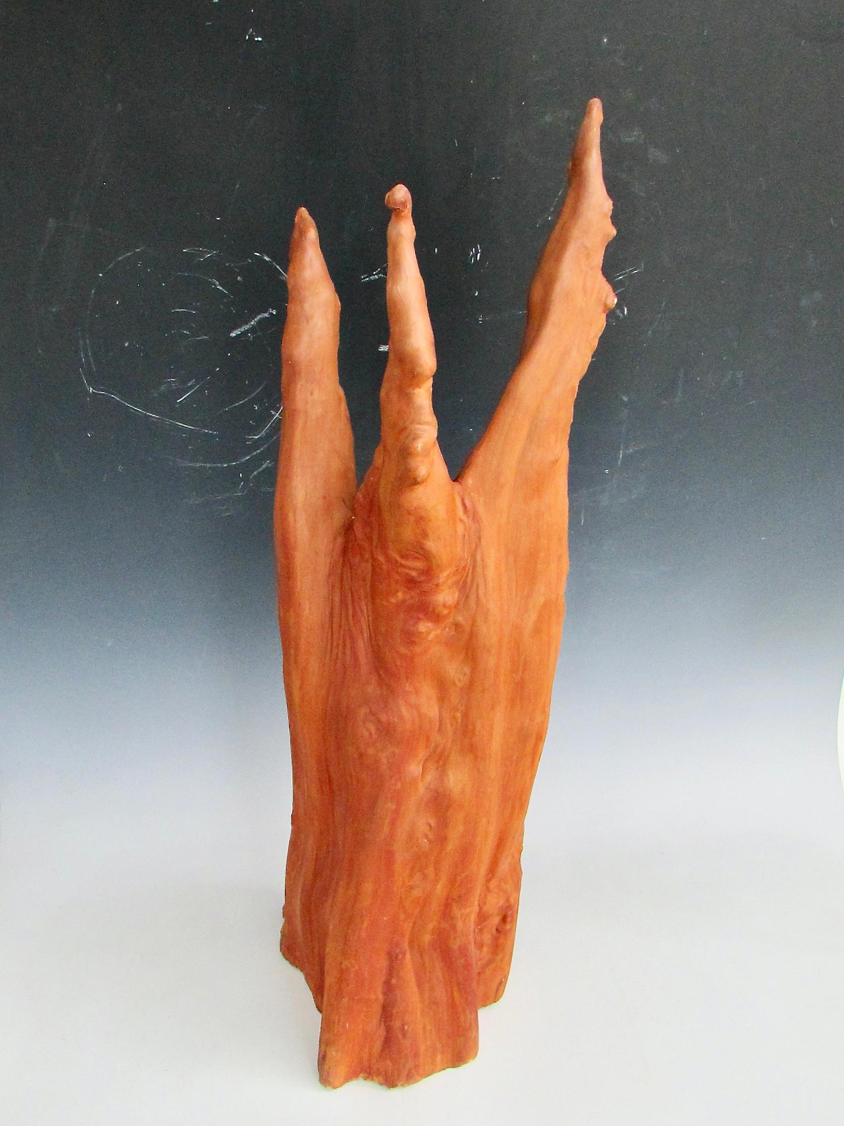 American Vintage Organic Natural Form Cypress Knuckle Sculpture For Sale