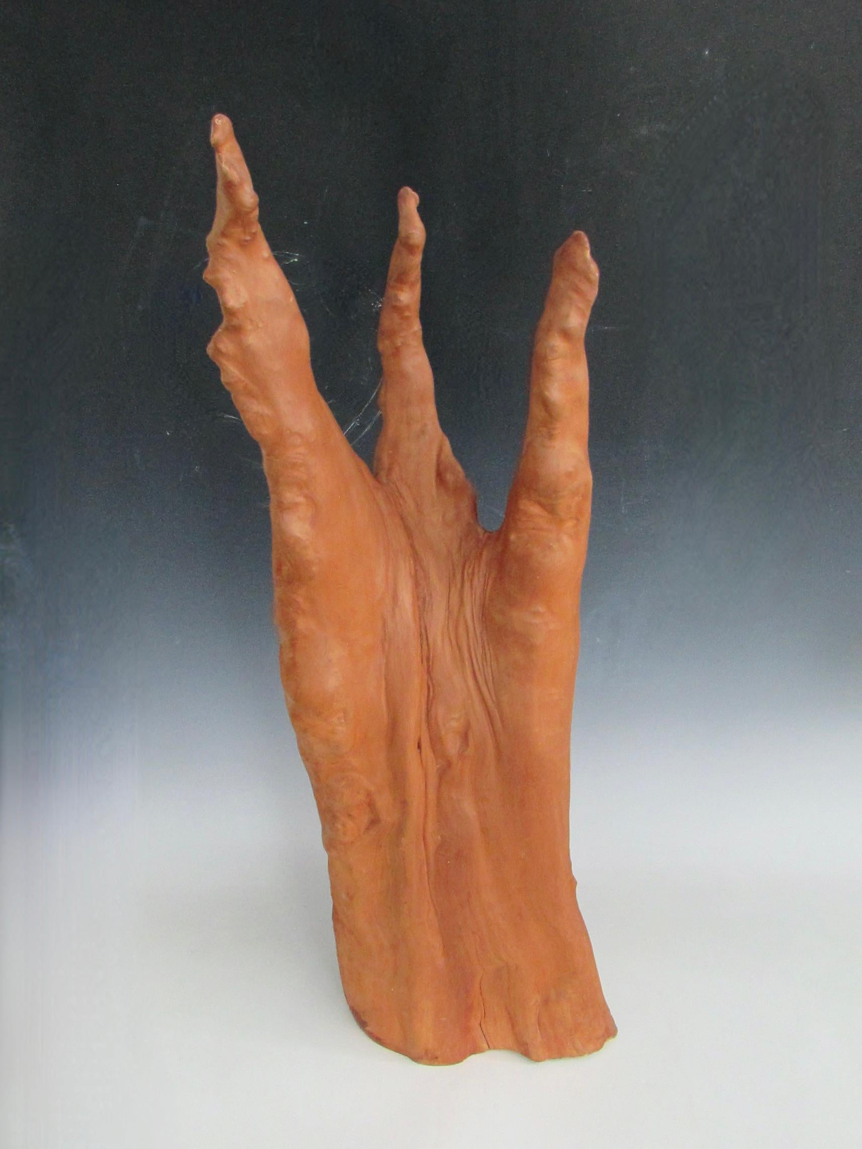20th Century Vintage Organic Natural Form Cypress Knuckle Sculpture For Sale