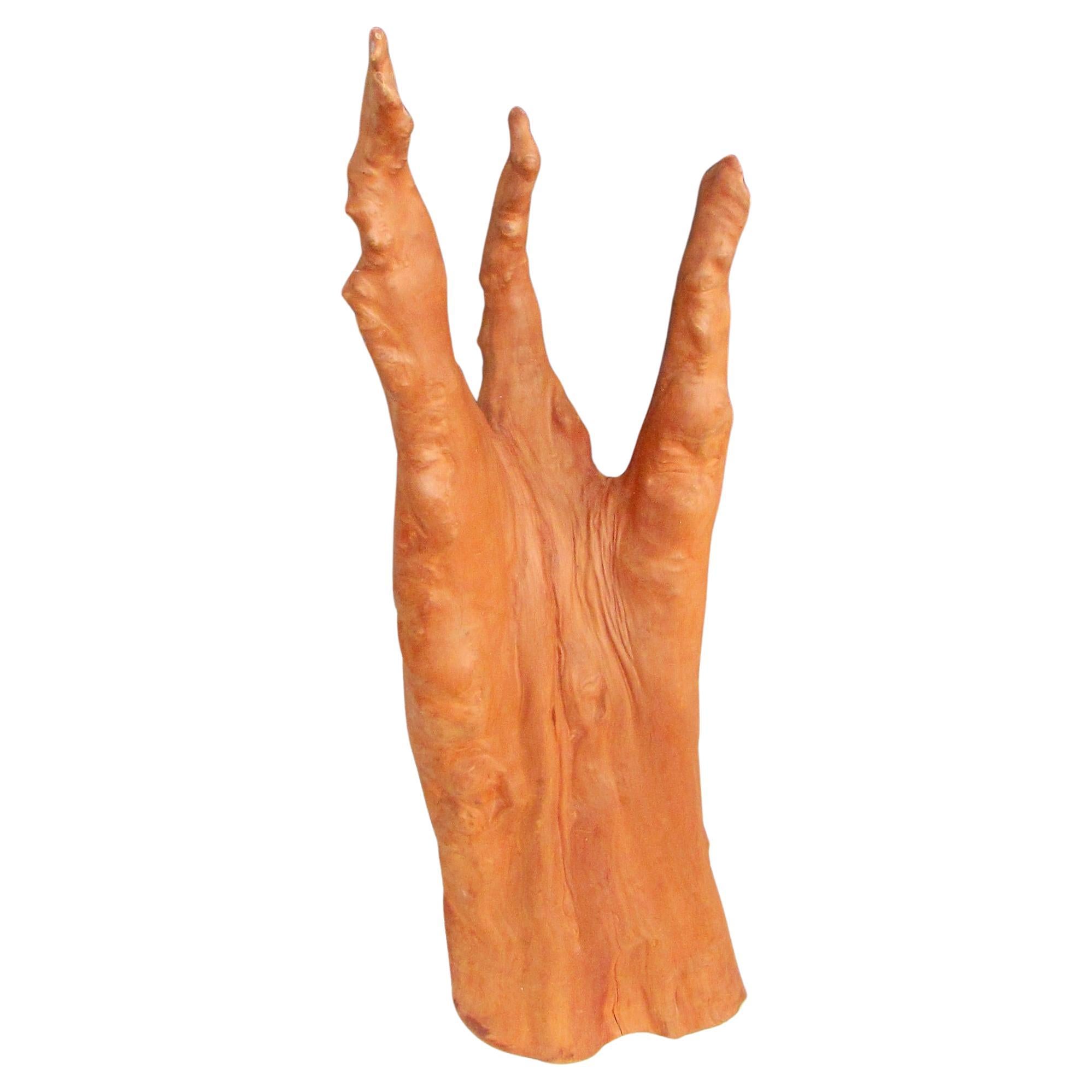 Zypressenknuckle-Skulptur in organischer natürlicher Form, Vintage