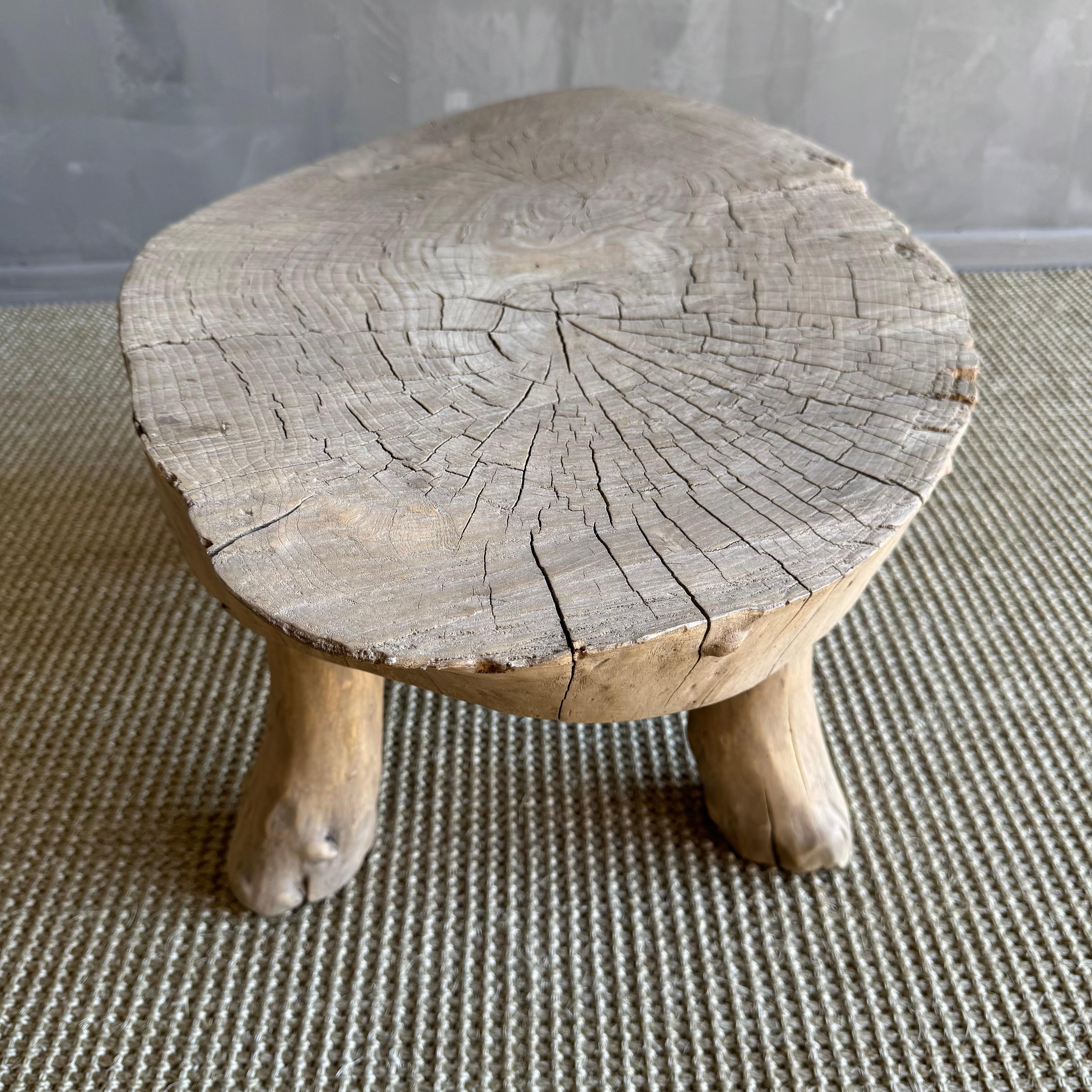 Vintage Bio Wabi Sabi Slice Ulme Beistelltisch, Vintage im Angebot 2