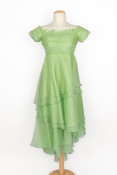 Vintage organza dress