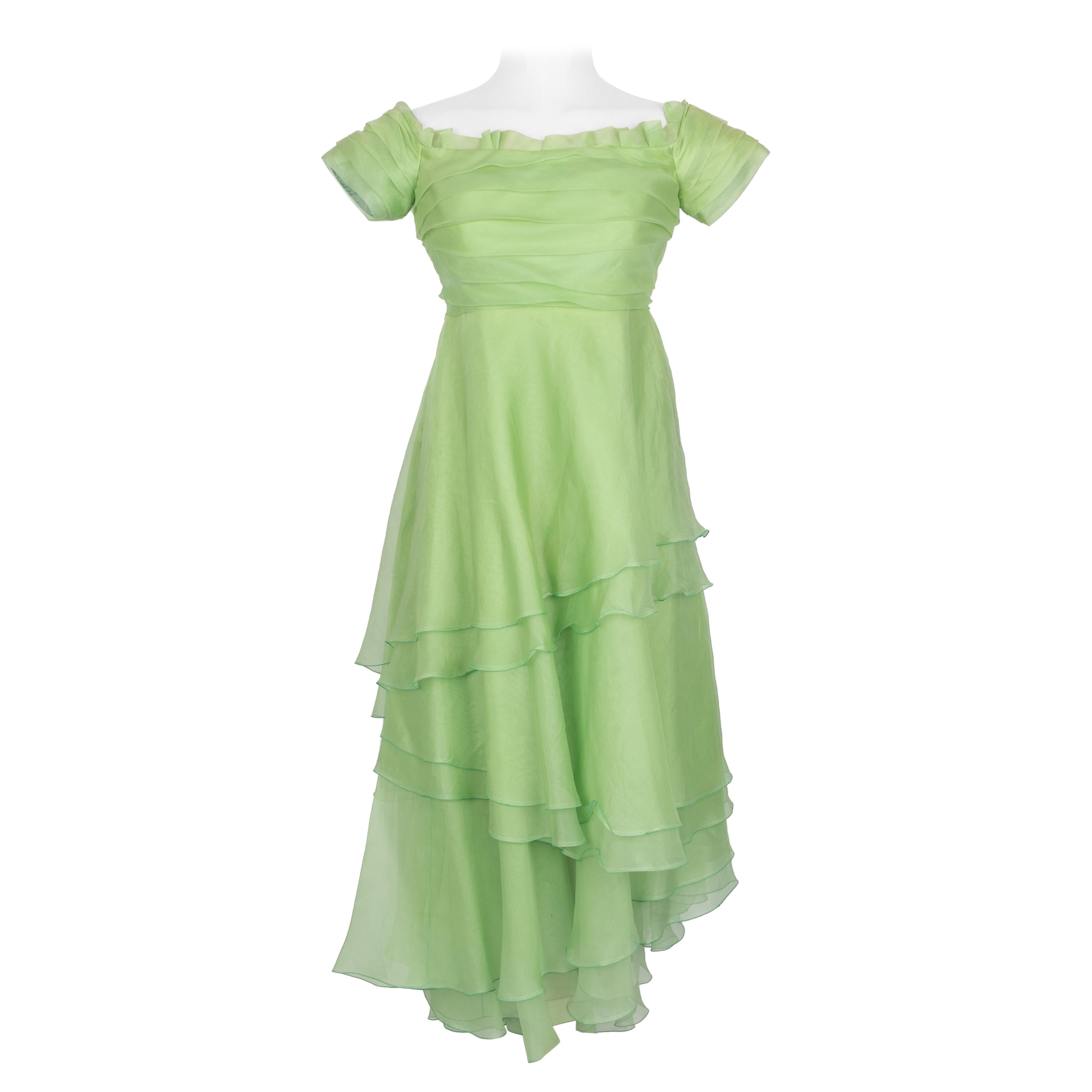 Vintage organza dress