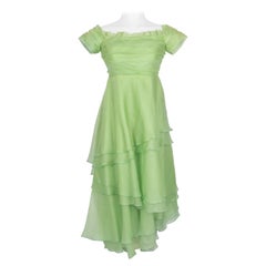 Vintage organza dress