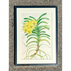 Vintage Original Botanical Watercolor on Paper