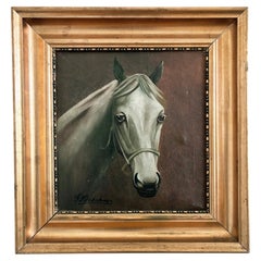 Vintage Original White Horse Oil Painting, Signed Equestrian Portrait
