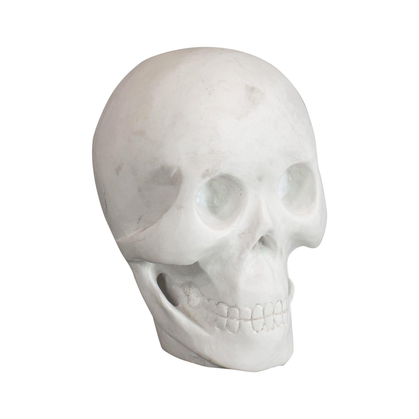 Decorative Skull - 82 For Sale on 1stDibs