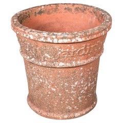 Vintage Ornamental Tree Planter, French, Terracotta, Jardiniere Pot, Veranda