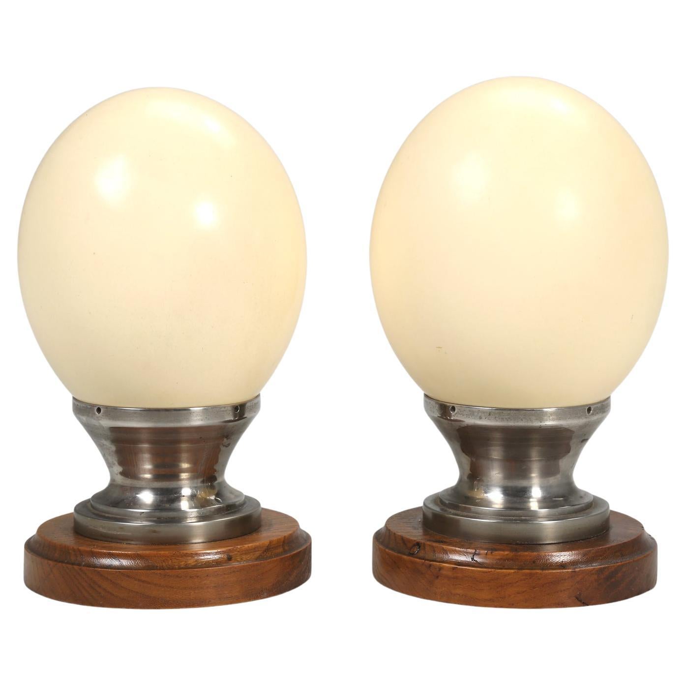 Ostrich Egg & Eco Wood Stand Christmas Gift 