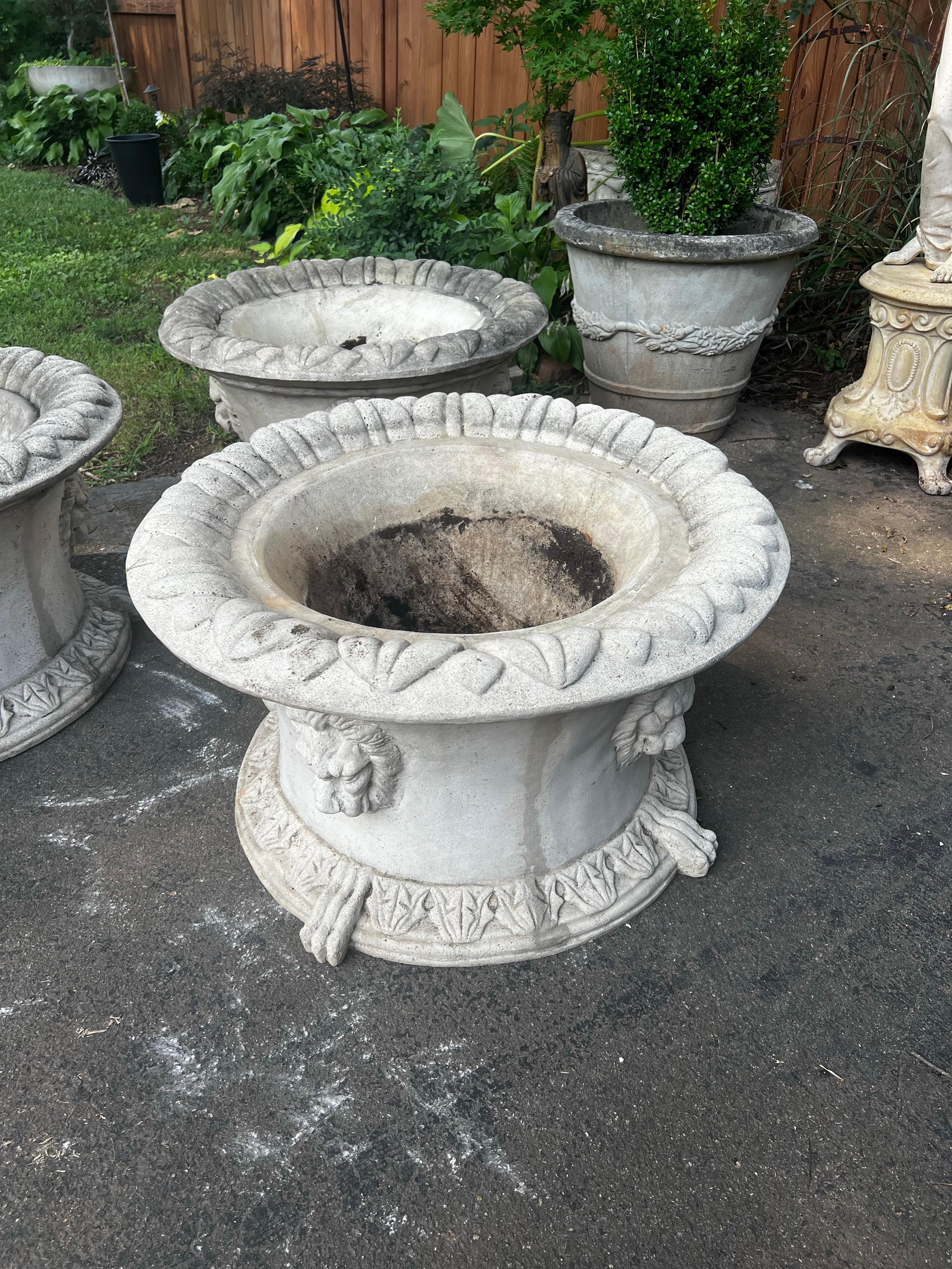 Maceteros vintage sobredimensionados de piedra colada de estilo neoclásico con cabezas de león Fibra de vidrio en venta