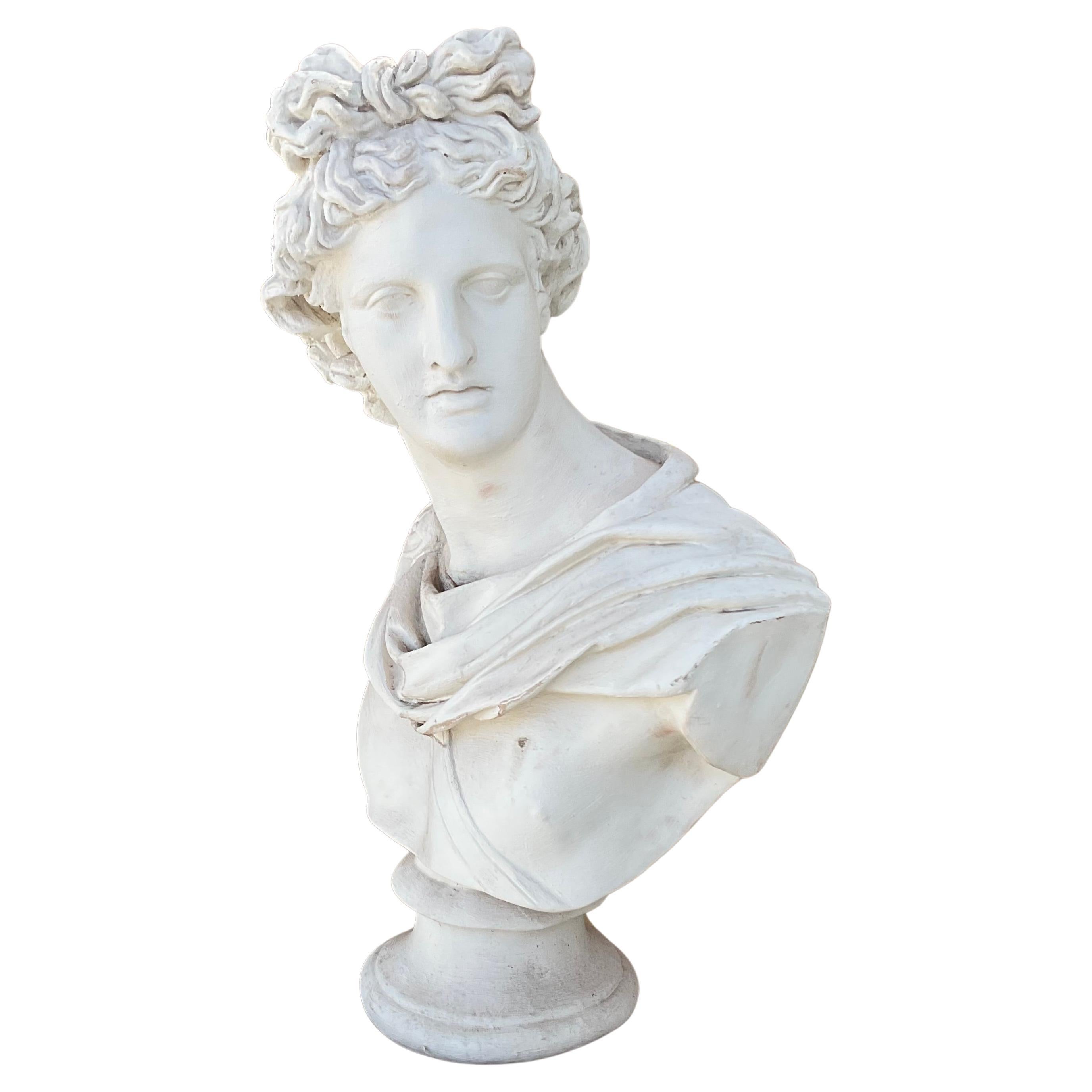 Vintage Painted Terracotta Bust Of Apollo  For Sale 1