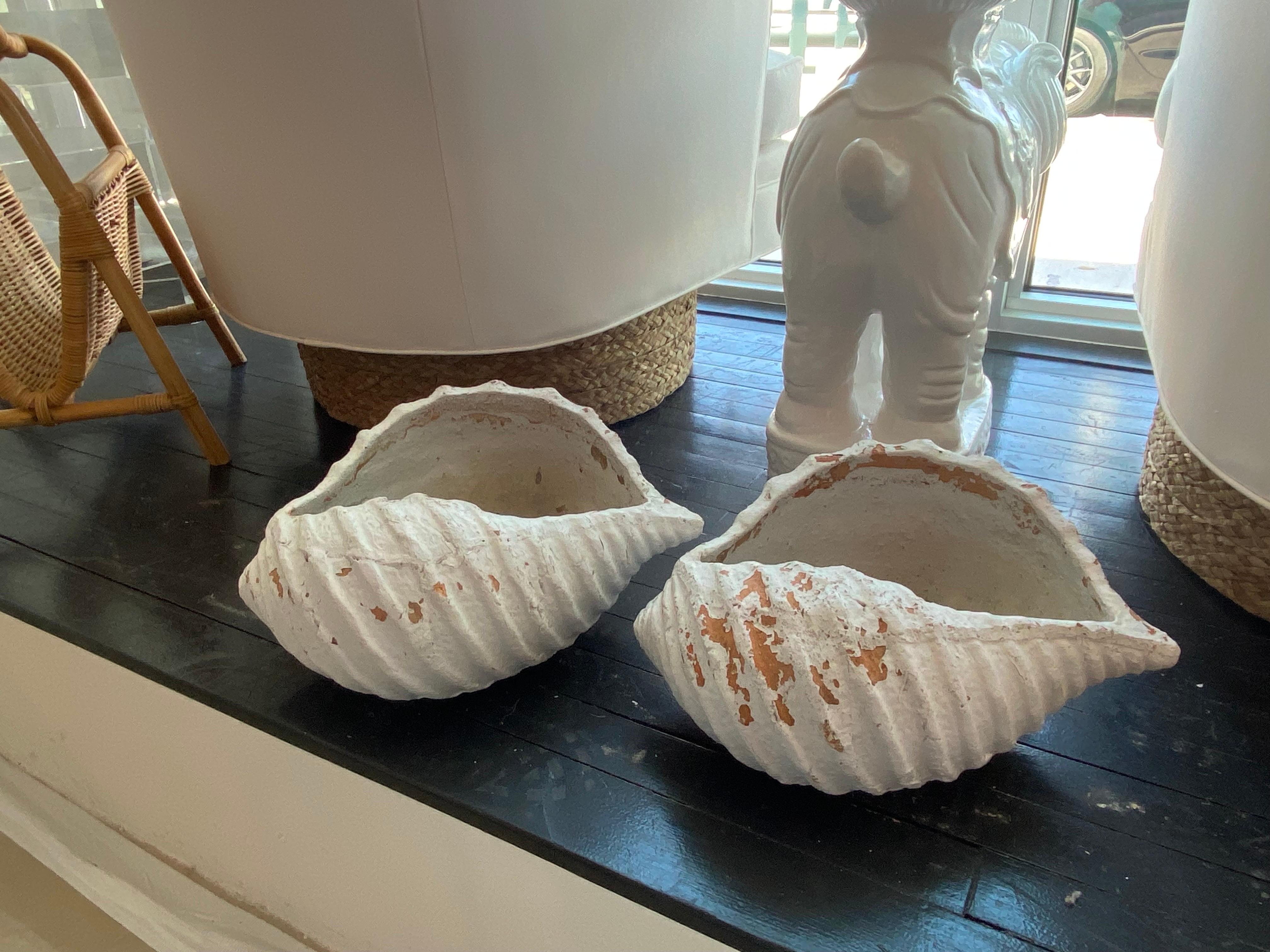 seashell planters