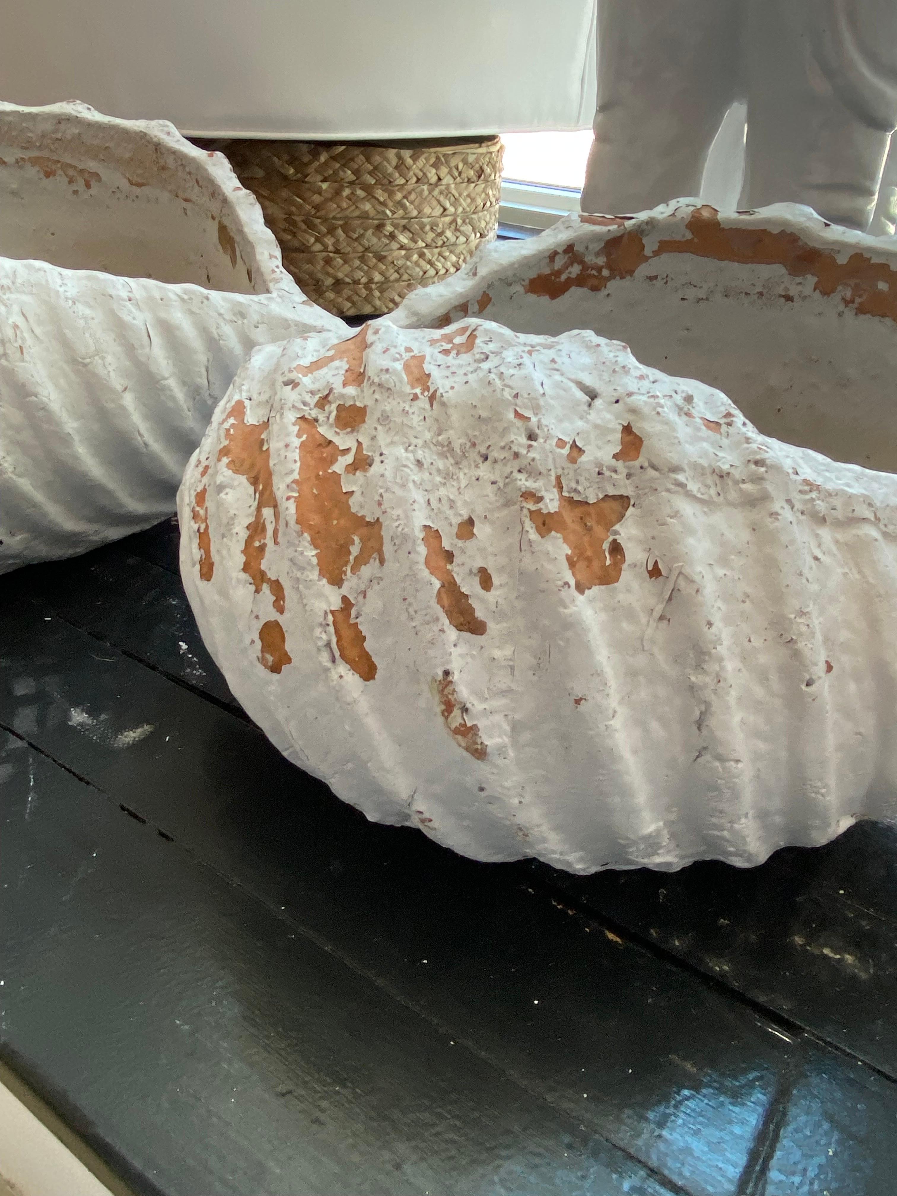 muscheln im garten