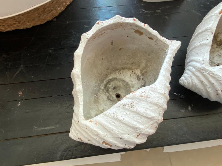 Paar französische Terrakotta MuschelMuschelGartenPflanzgefäße in