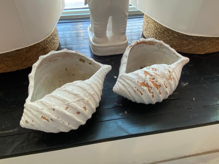 Paar französische Terrakotta MuschelMuschelGartenPflanzgefäße in