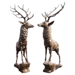 Vintage Pair Life-Size Bronze Stags Deer Statues 20th Century