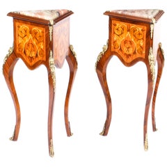 Vintage Pair Louis Revival Kingwood & Walnut Side Tables Pedestals, 20th Century