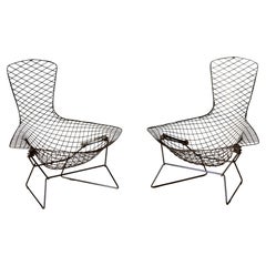 Vintage Pair of Black Bird Lounge Chairs by Harry Bertoia for Knoll Associates