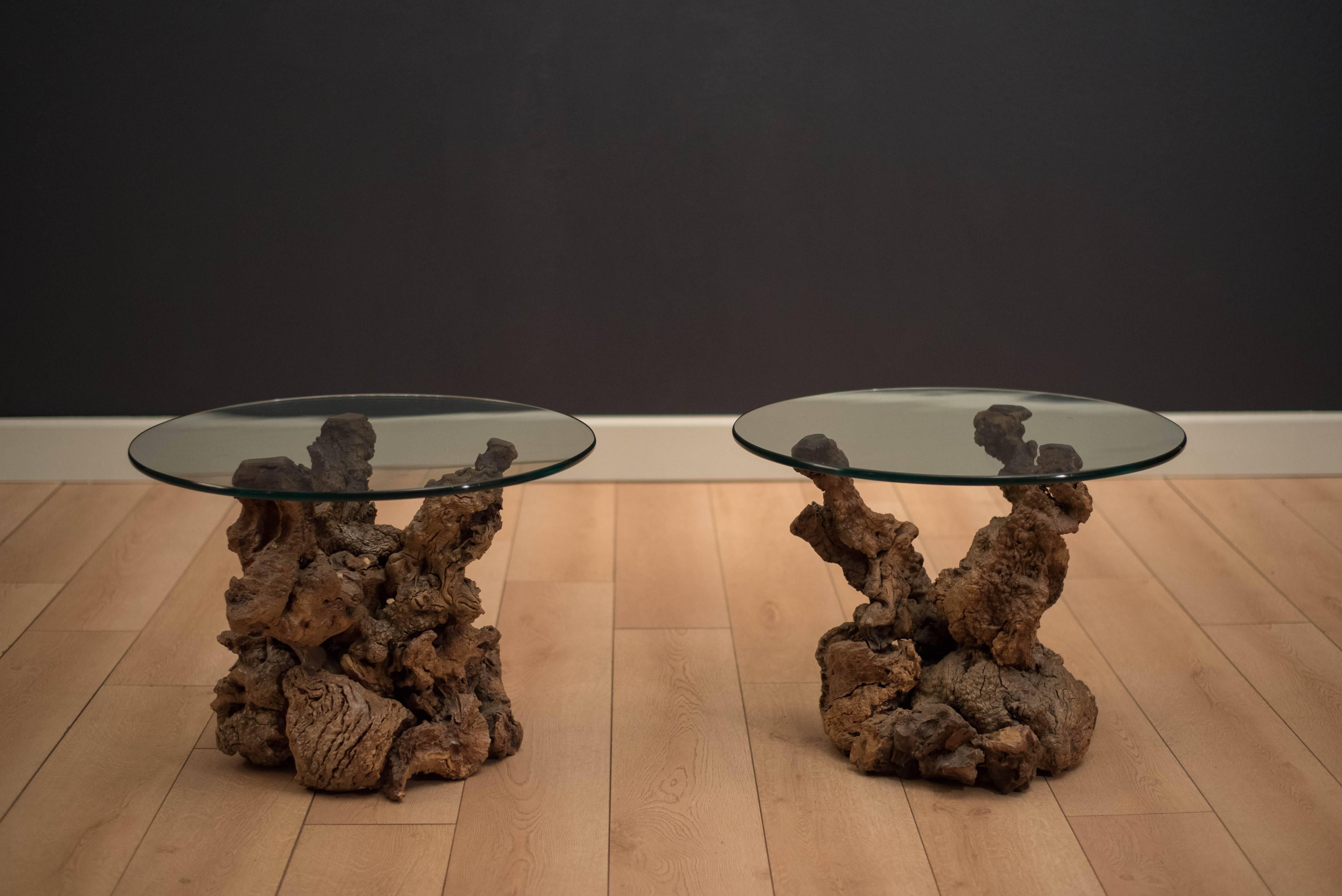 Mid century pair of burl root side tables with round glass tops. Each table base features a unique organic form and glass tops are 1/2